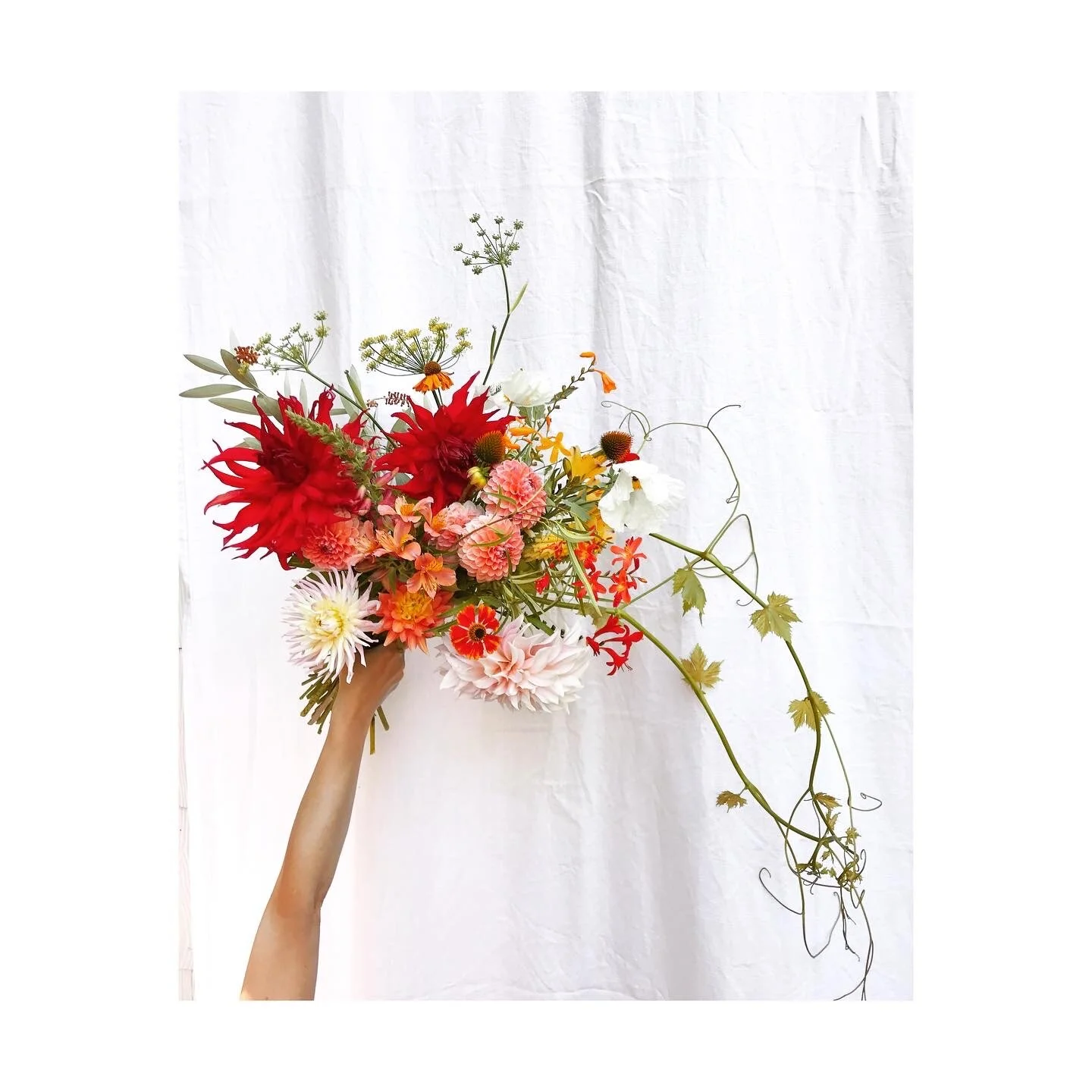 large seasonal bundle 1.JPG