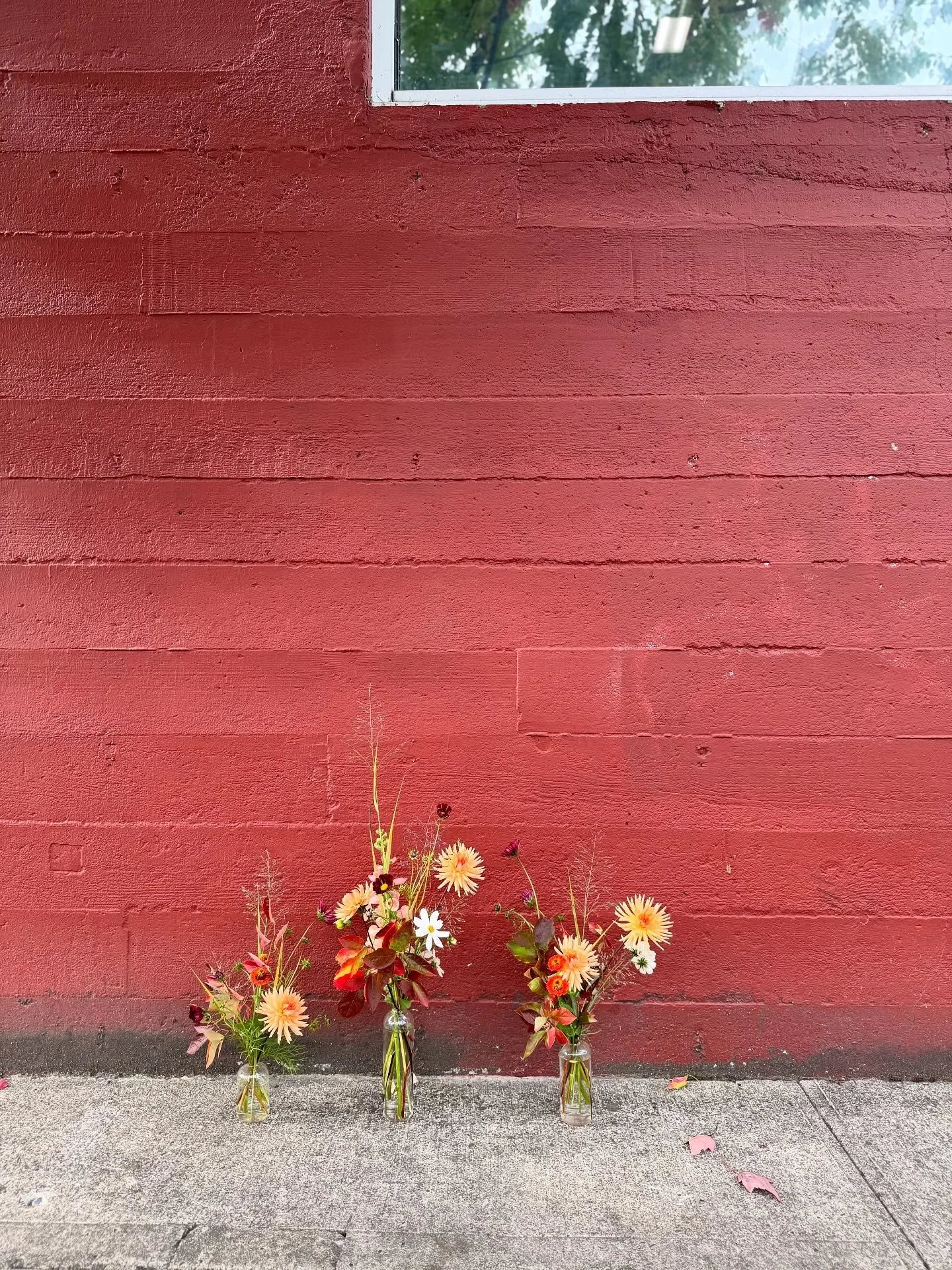 Don&rsquo;t go underestimating those little bud vases&hellip; they can be quite spunky!