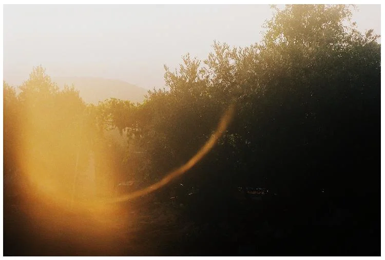 Old camera golden hour.jpg