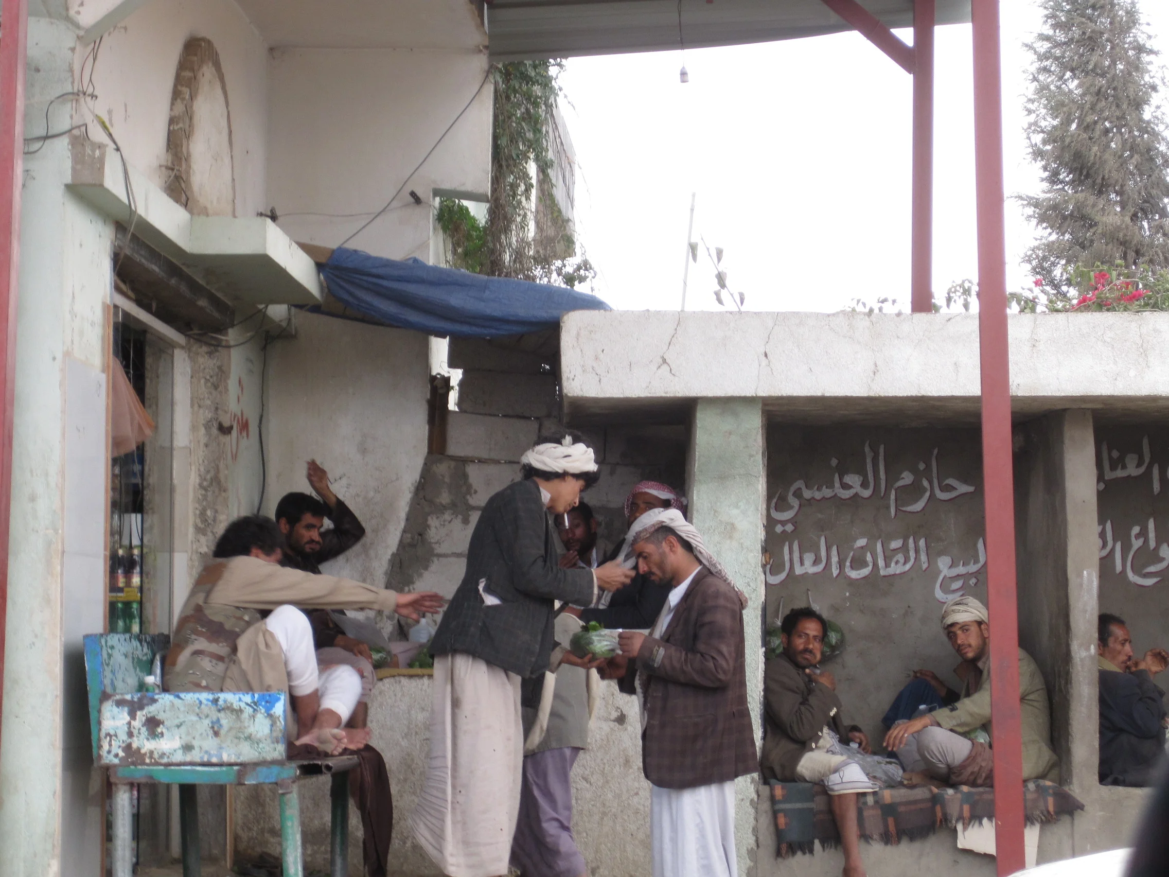 Roadside qat-chewing