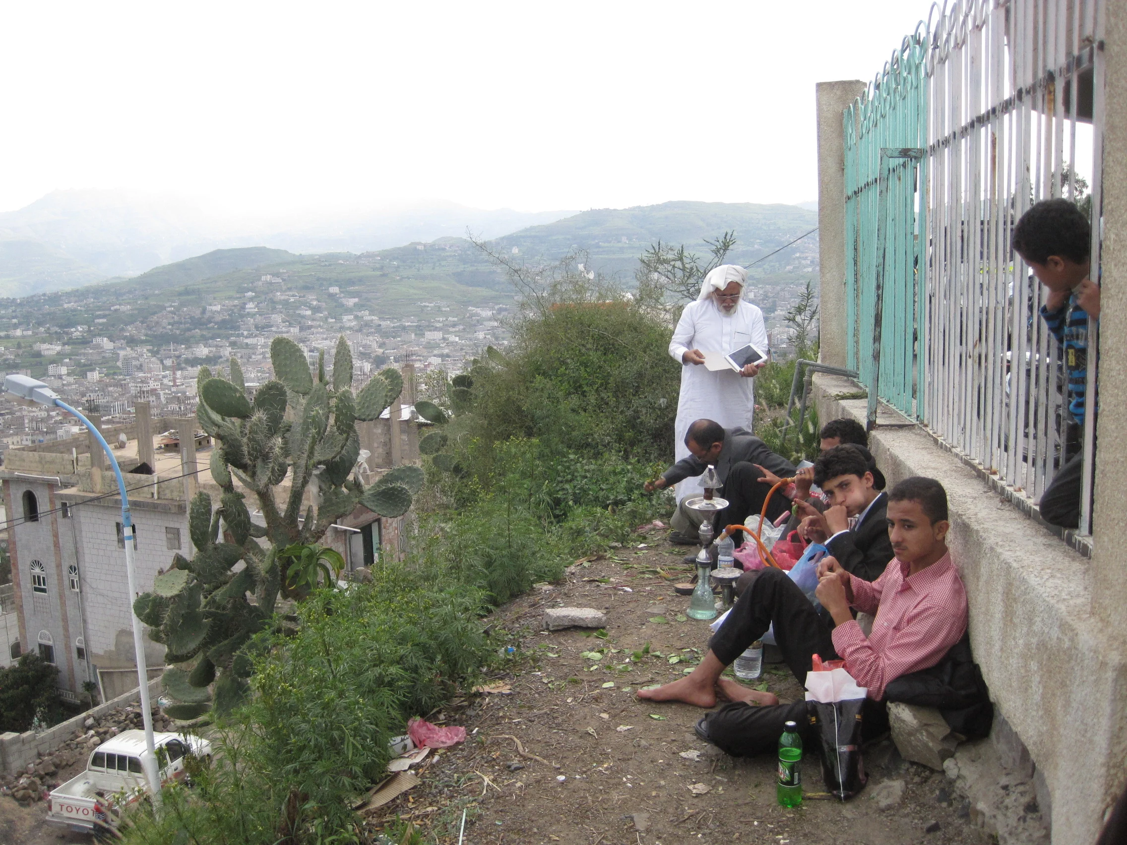 A chew with a view (above Ibb)