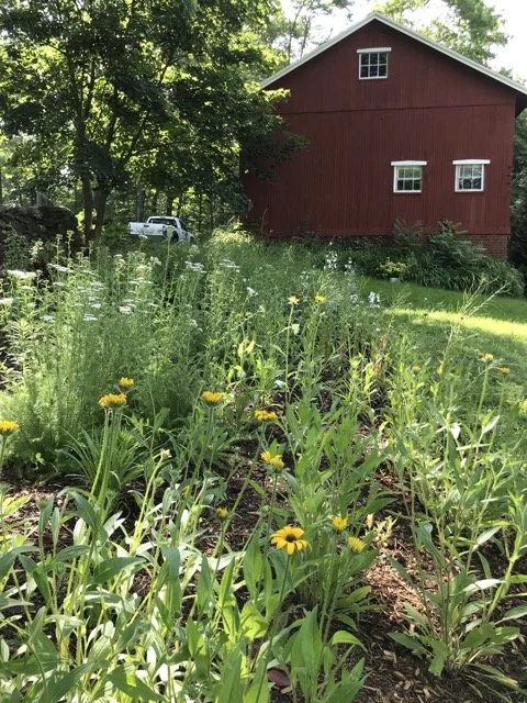 230716 summer Medium.jpeg