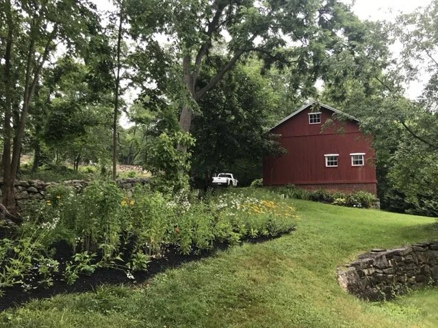 230728 summer Medium.jpeg