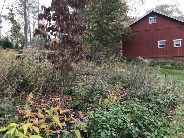 231103 fall Medium.jpeg