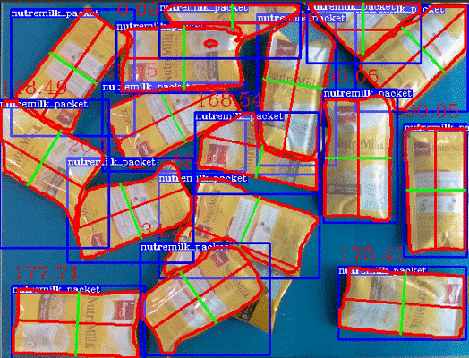 Figure 4. An output of EPD at Profile 3, with OIbject Localization and operating at 2 FPS