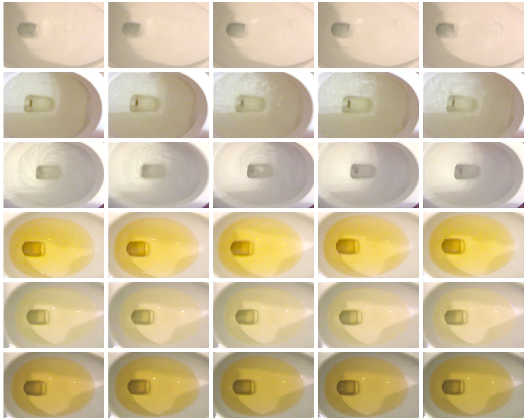 FLUSHED close-up.jpg