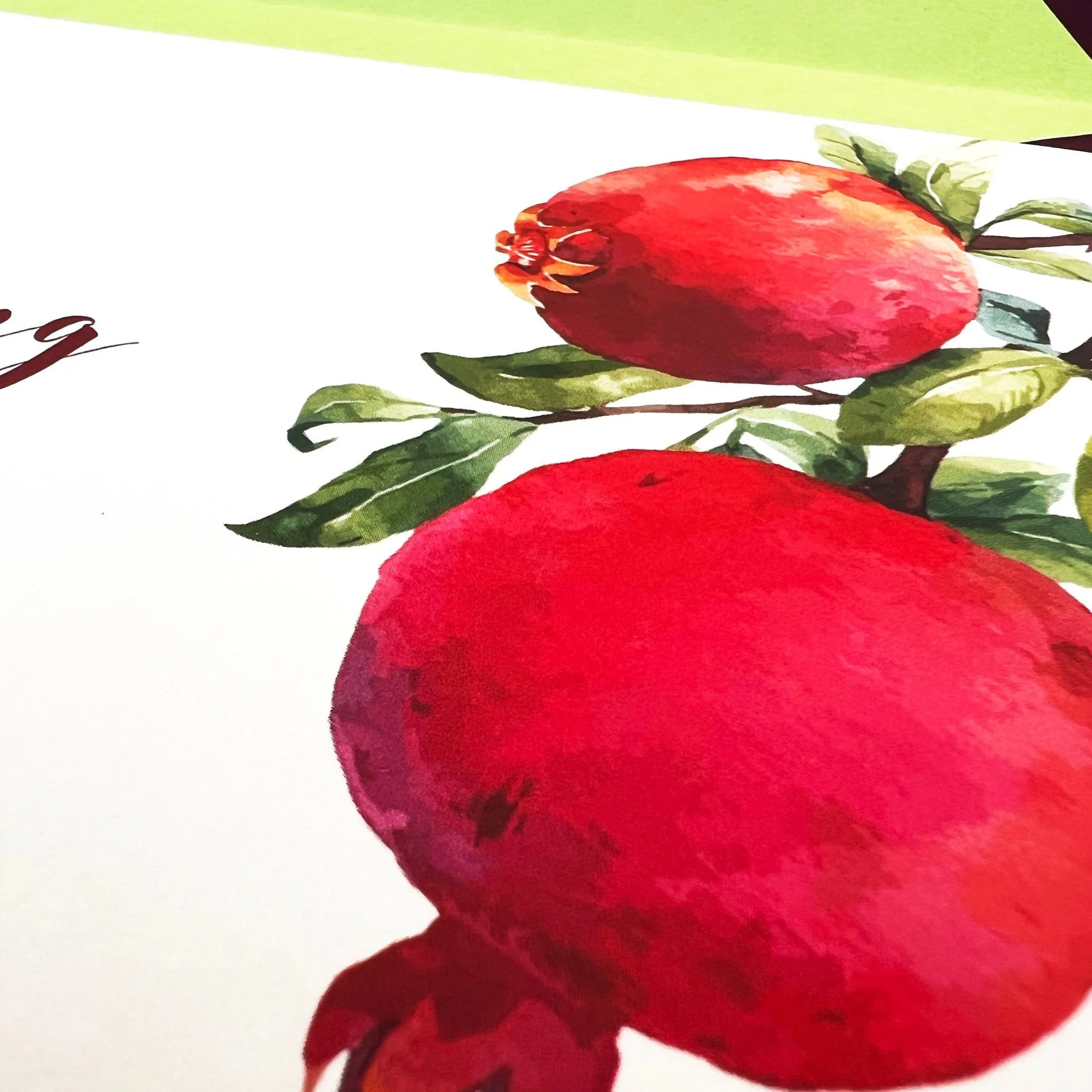 pomegranate_close+fruit2.jpg