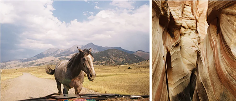 Horse_canyon1.jpg