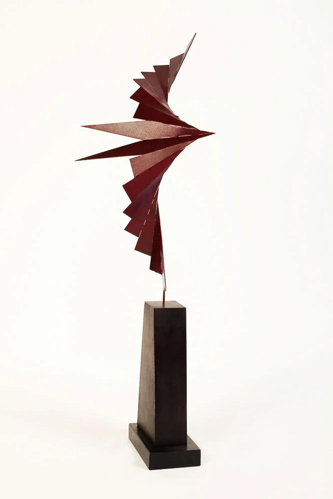 Pajaro Rojo-18