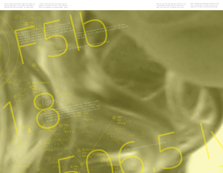 EstrelaMagazine-4_905.png