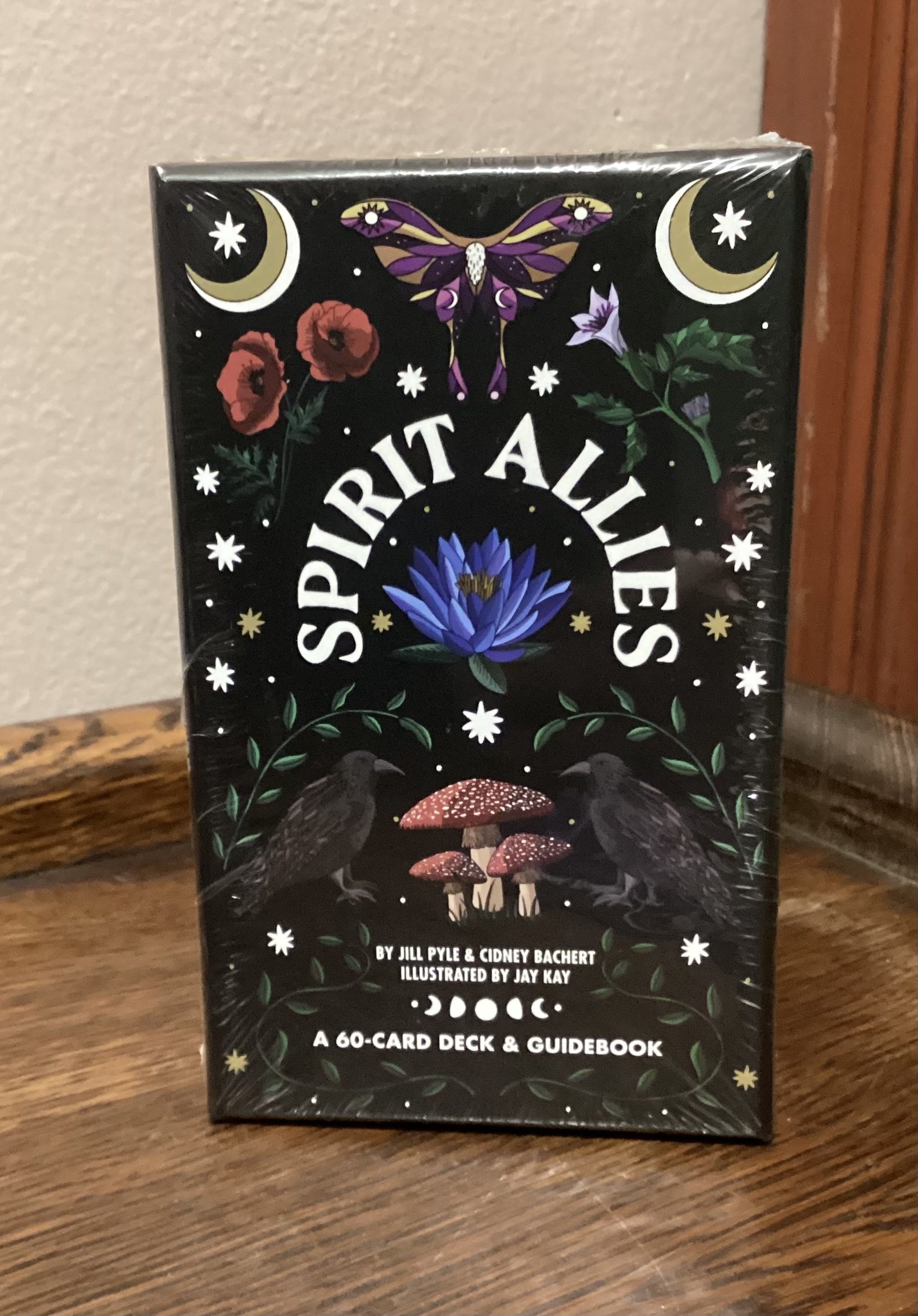 Spirit Allies