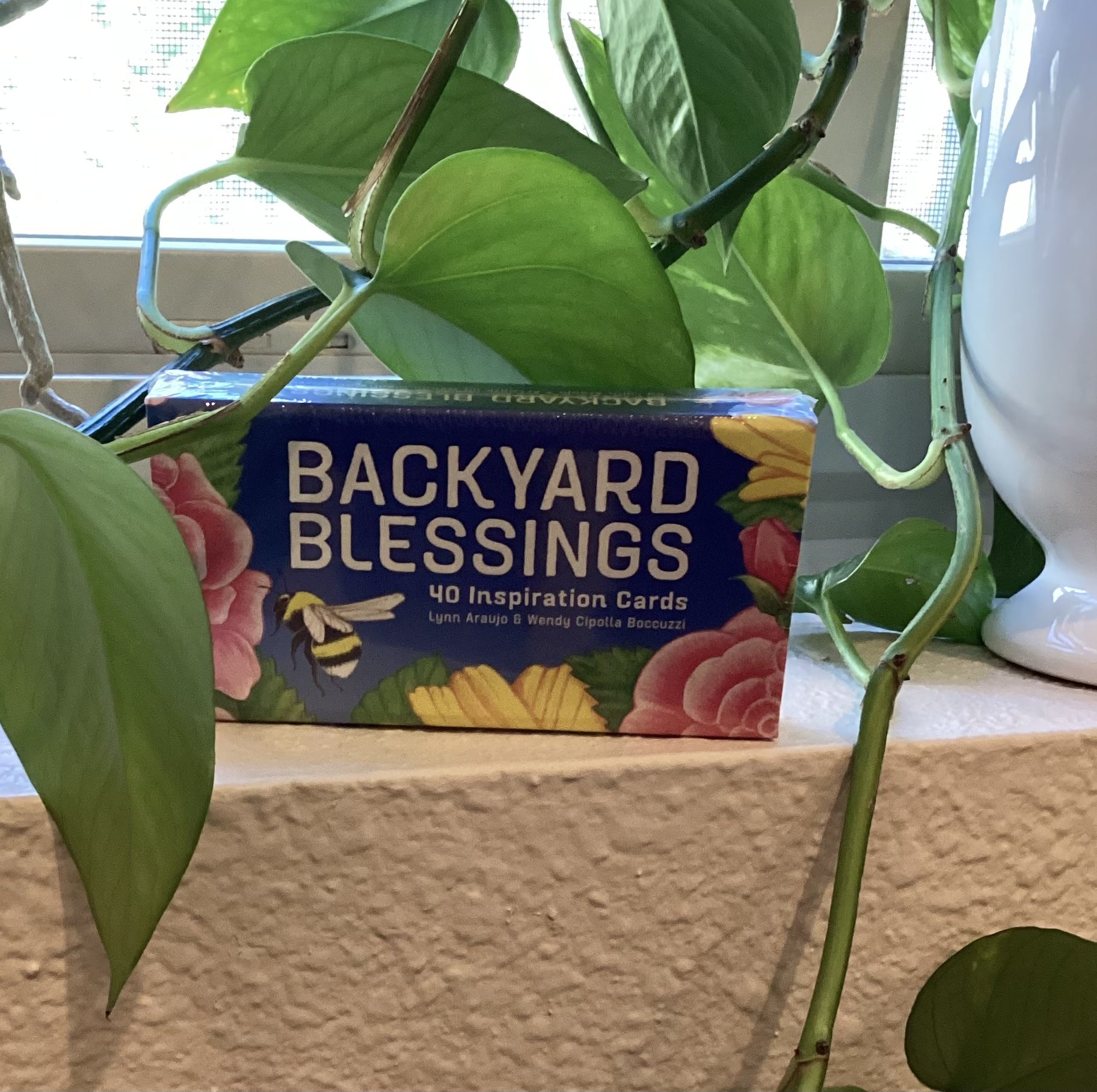 Backyard Blessings (40 Inspiration Cards)