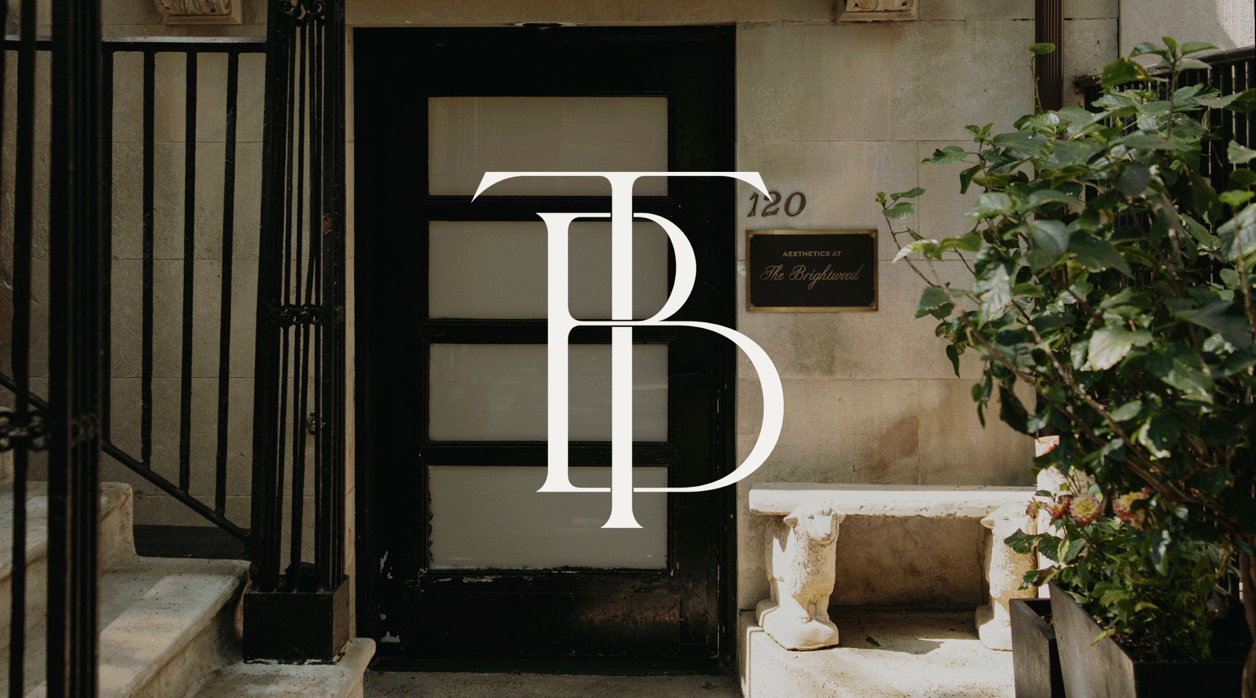 Transforming a brand.