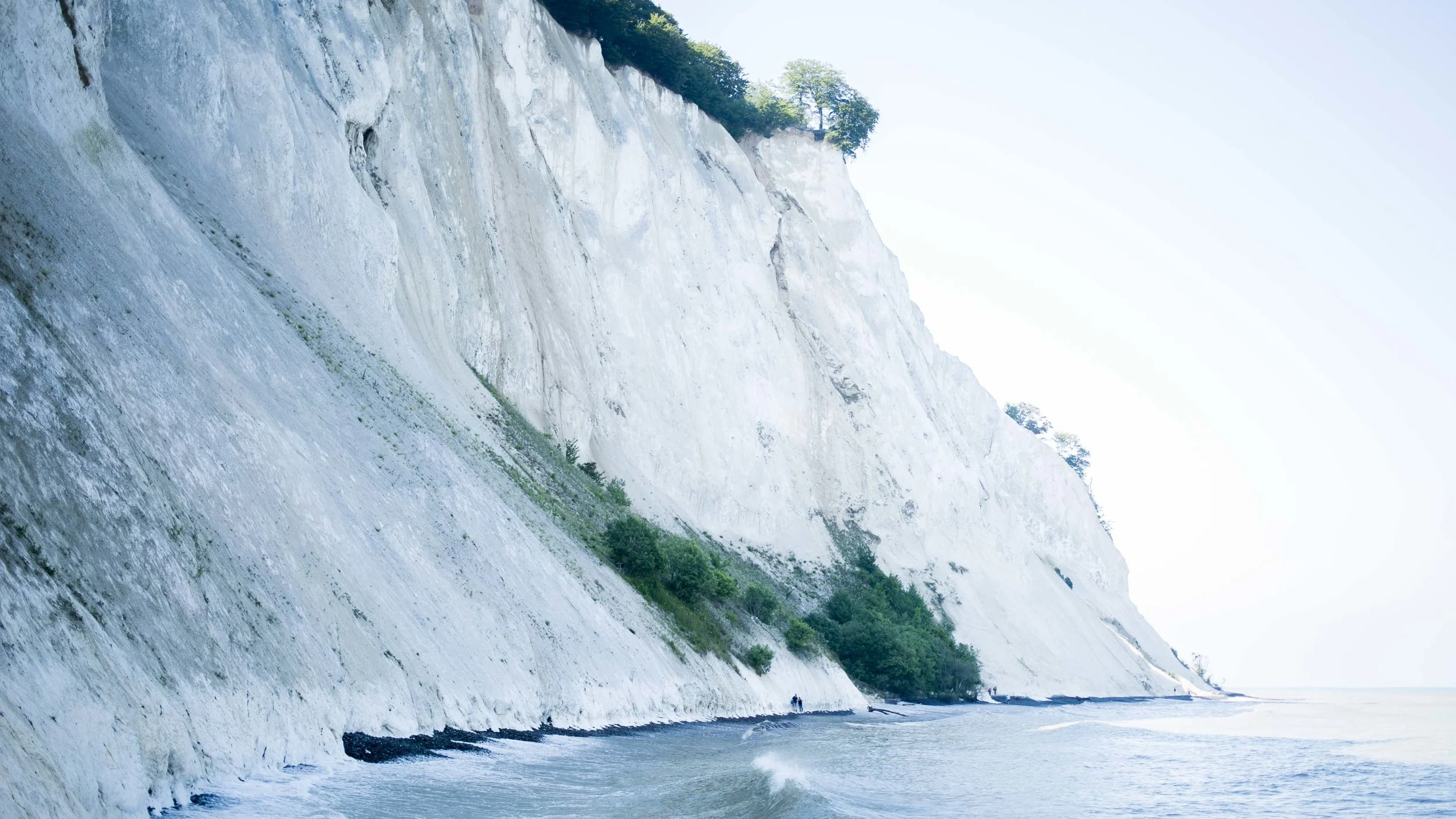 White chalk cliffs in the Møns Klint region.
