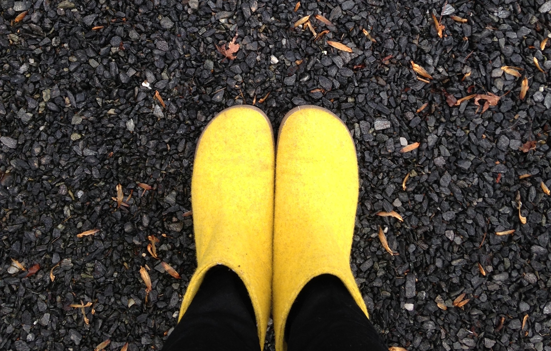 My yellow boots that could.