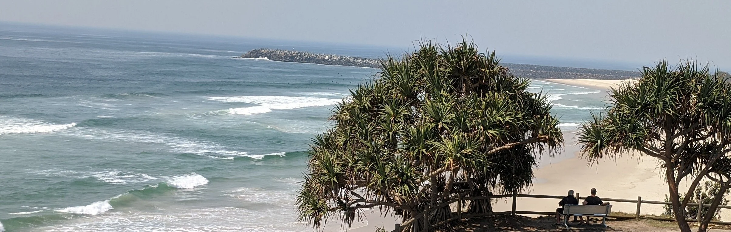 Footpath & Pandanus cropped  3.jpg