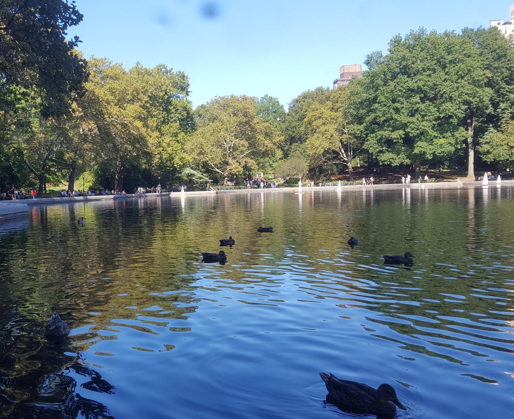 2017-09-23 14.55.19.jpg