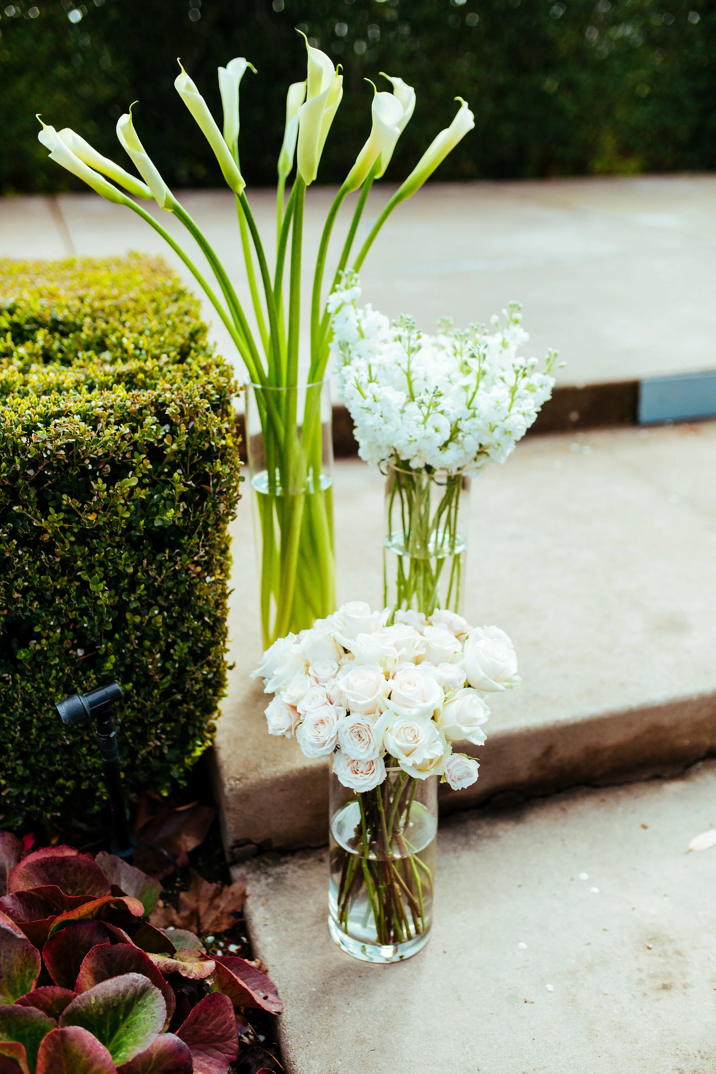 Joyce+Kevin-232.jpg