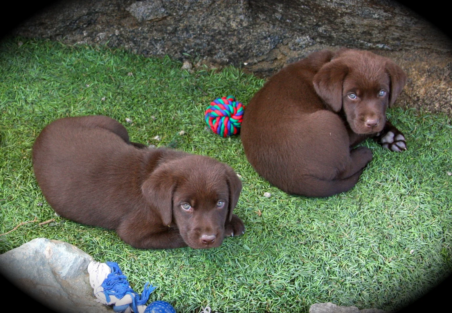 Orange and green.JPG