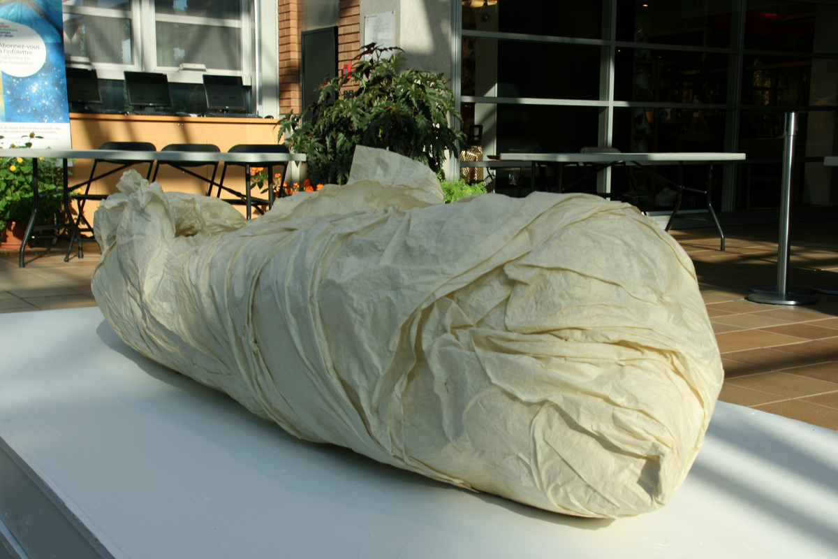 "Chrysalis" Han Zhang & Marjan Verstappen