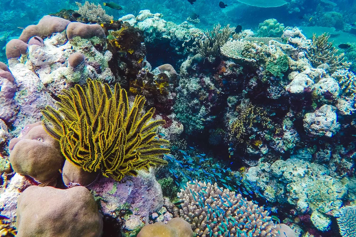 GOPR0331.jpg