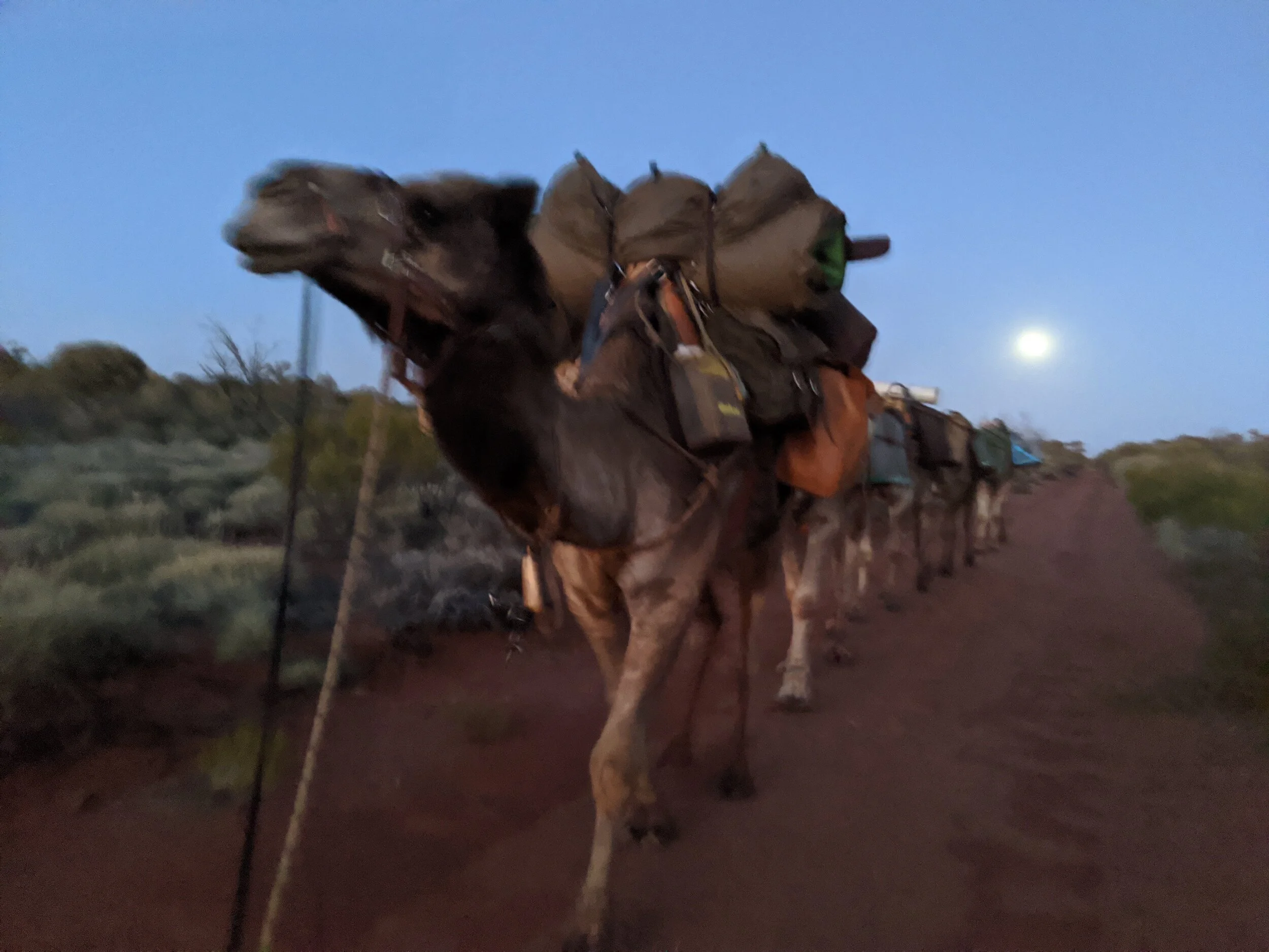 Blog // — SOPHIE MATTERSON