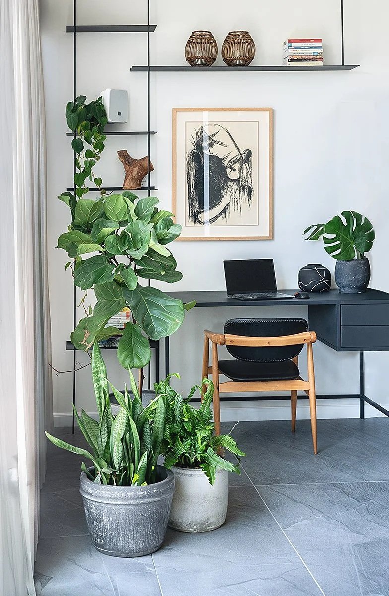 
Fine art architectural photography of a contemporary residential interior, capturing natural light, architectural form, spatial composition, through a refined visual perspective.

צילום אדריכלות | צילום עיצוב פנים | צלמת אדריכלות | צילום לאדריכלים |