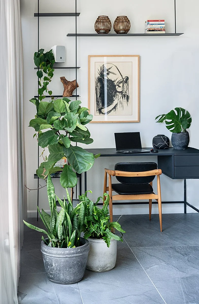 Home office corner with black desk and chair, framed artwork of a woman and child, potted plants, and wall shelves with decorative items.