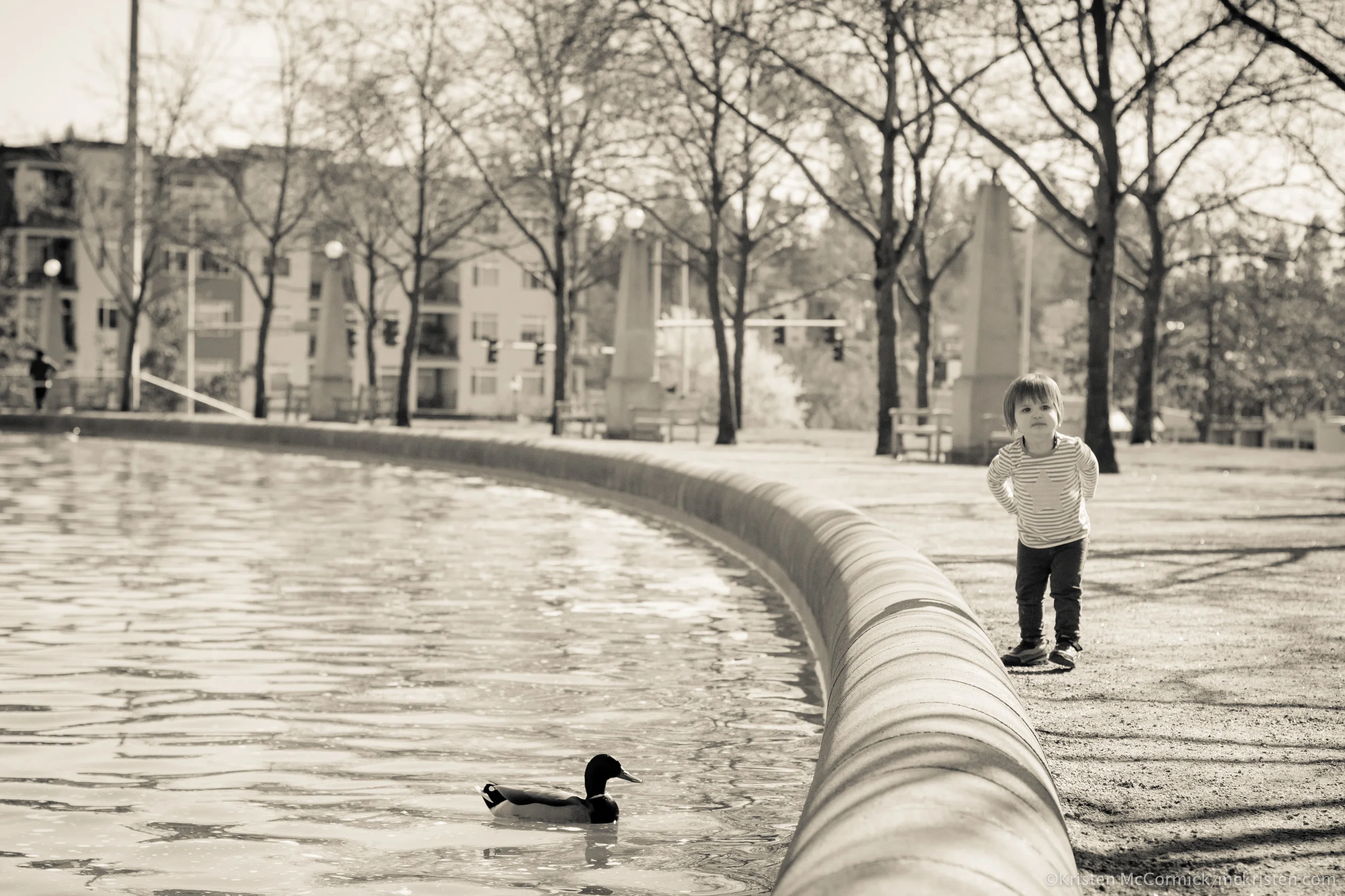 Charlie's mini session at Bellevue Park.