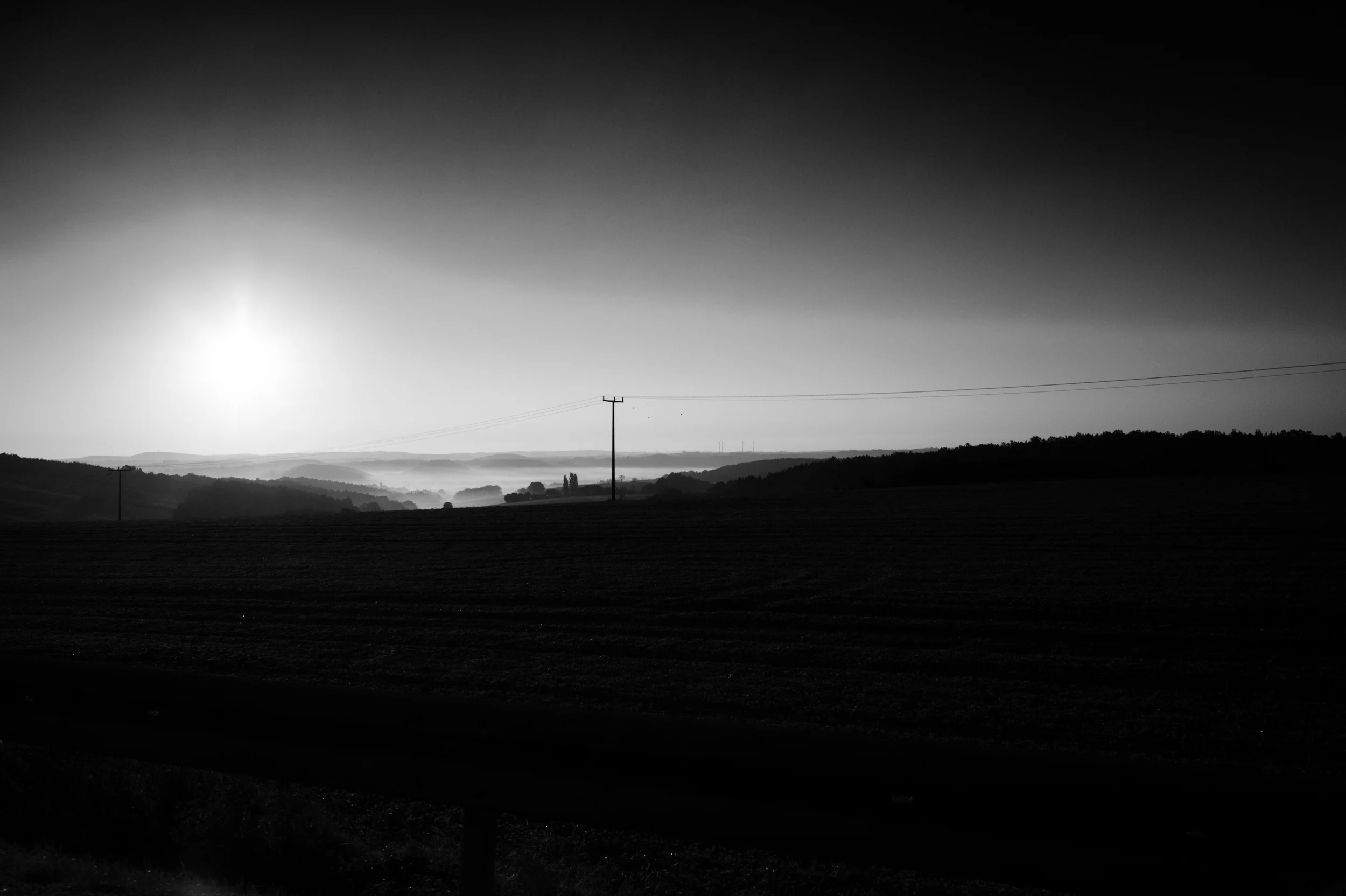 L1003948.jpg
