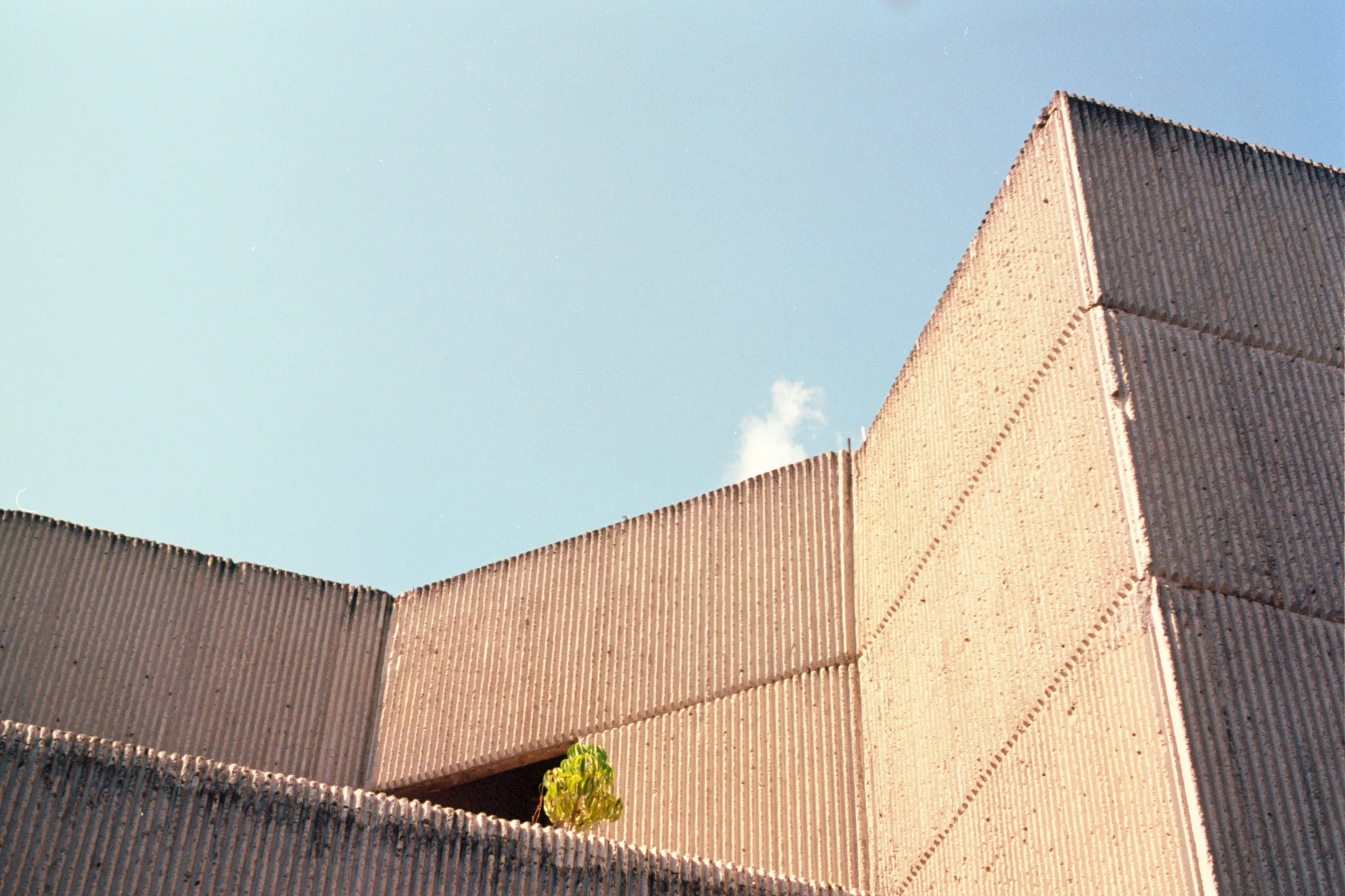 Untitled+(3).jpg