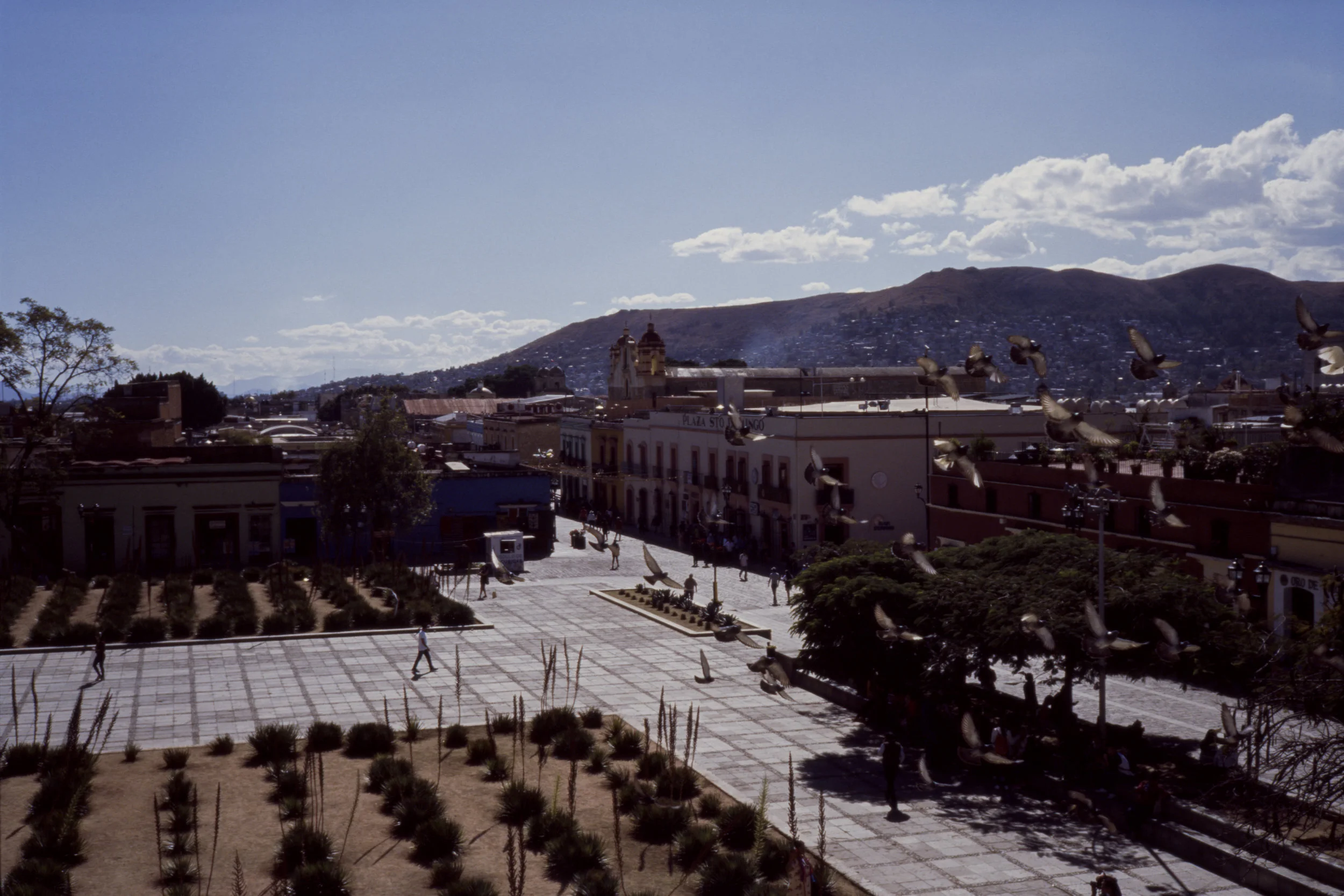 Slide-scan100.jpg