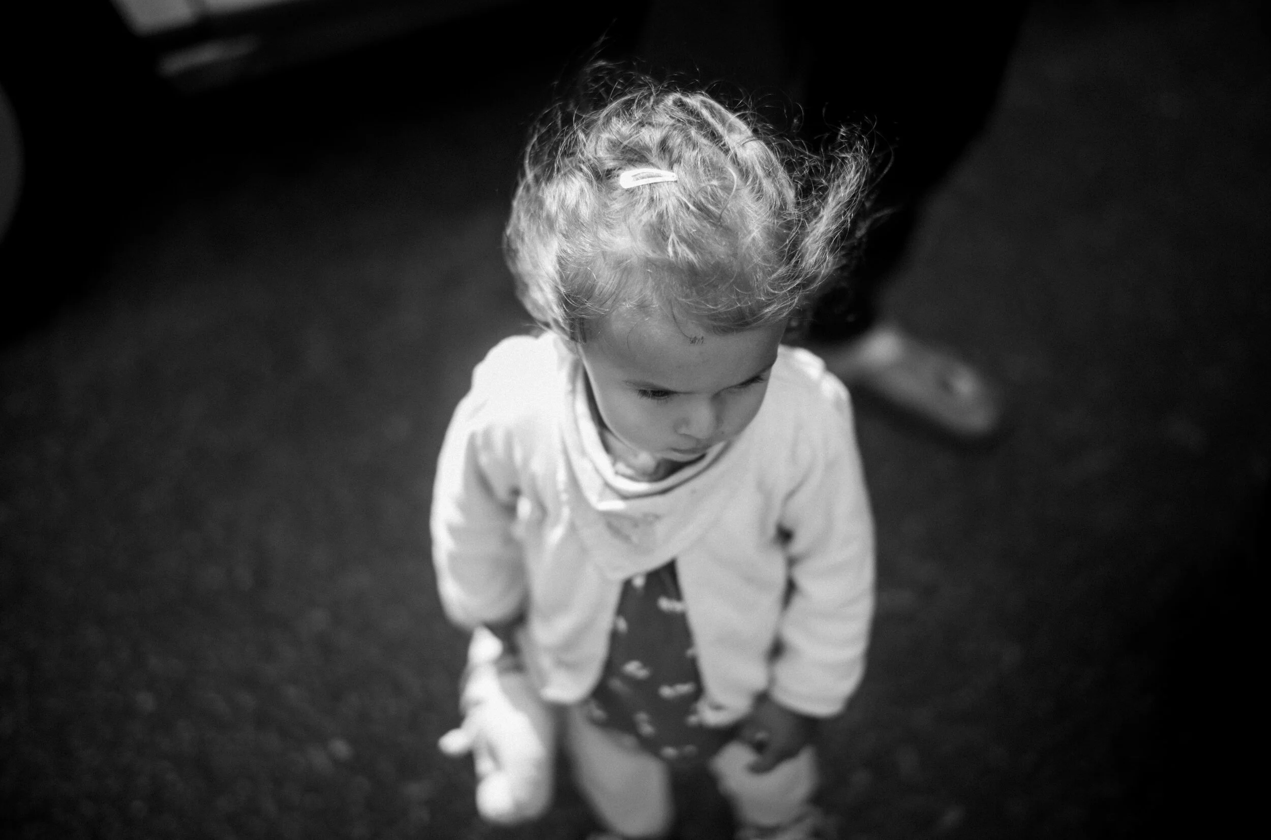L1002713.jpg