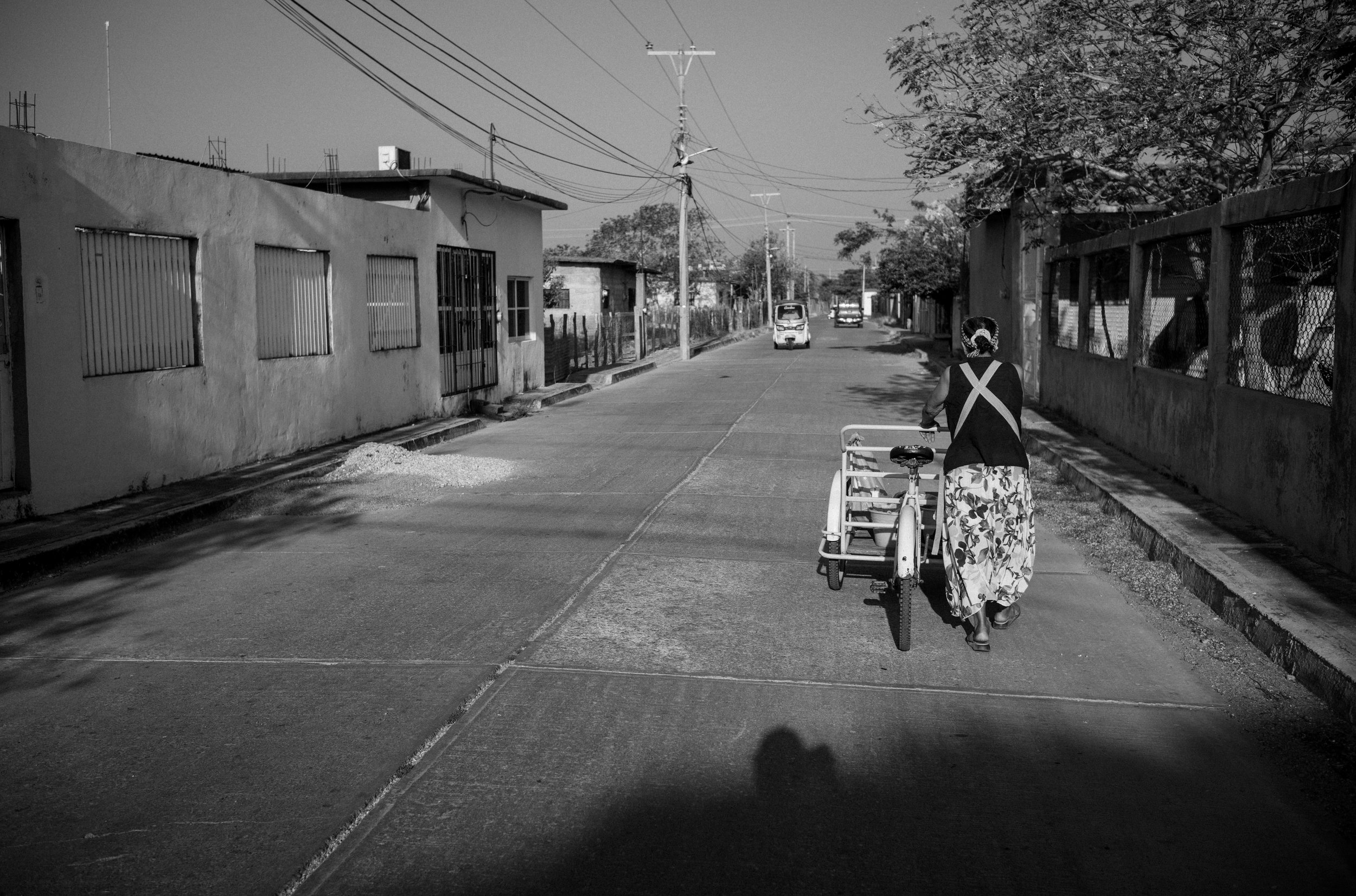 L1002093.jpg