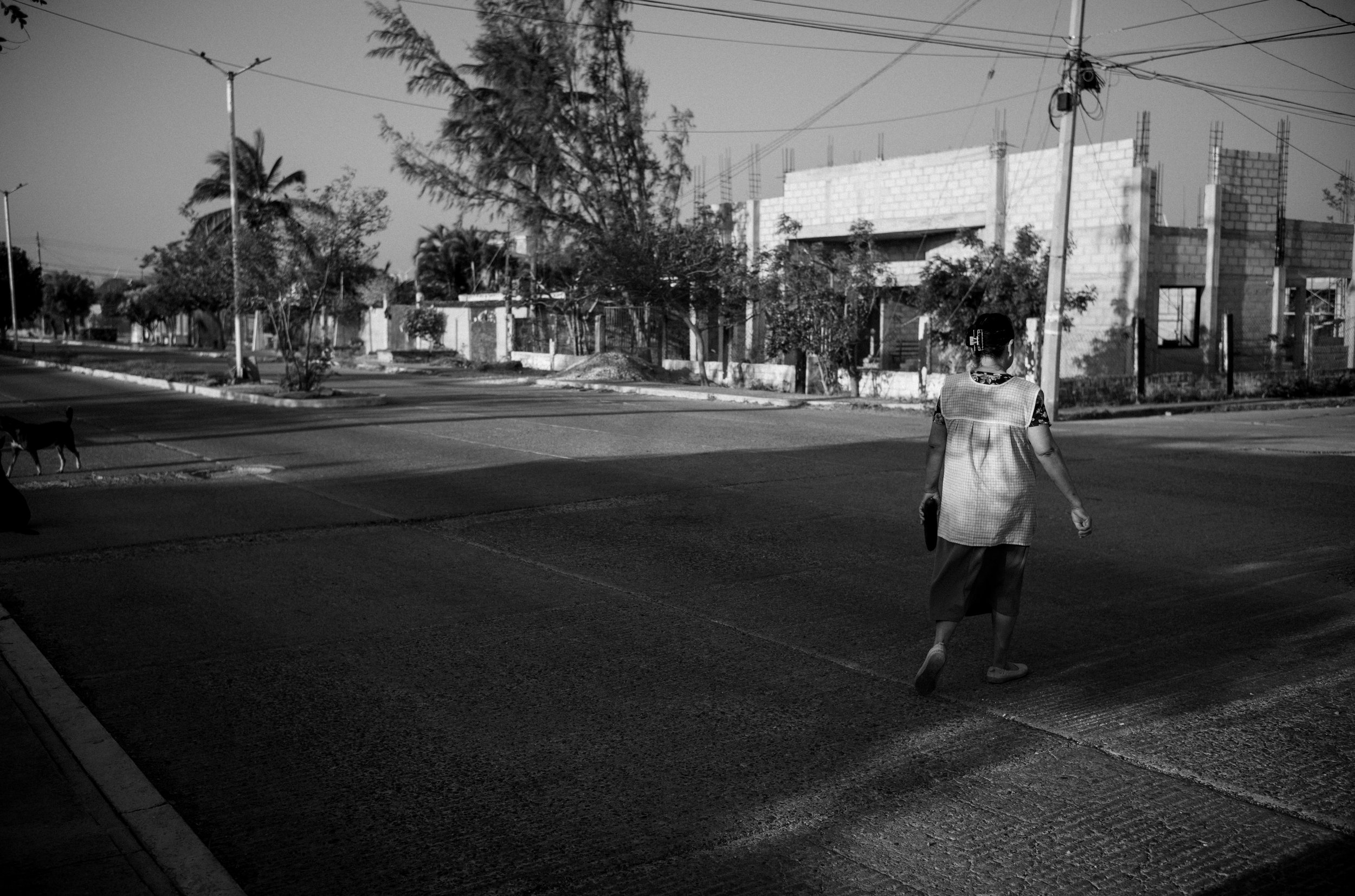 L1002086.jpg
