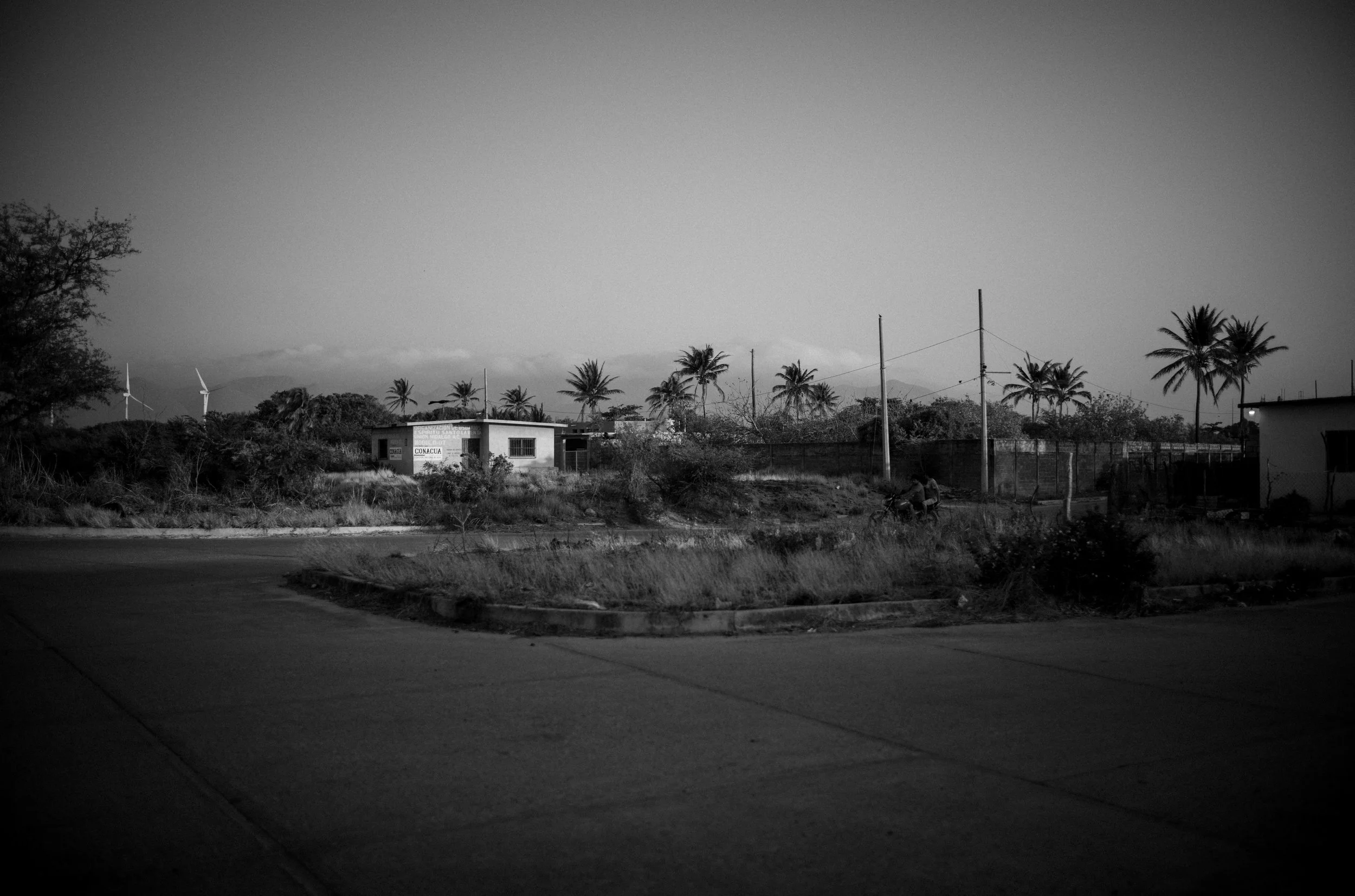 L1002070.jpg