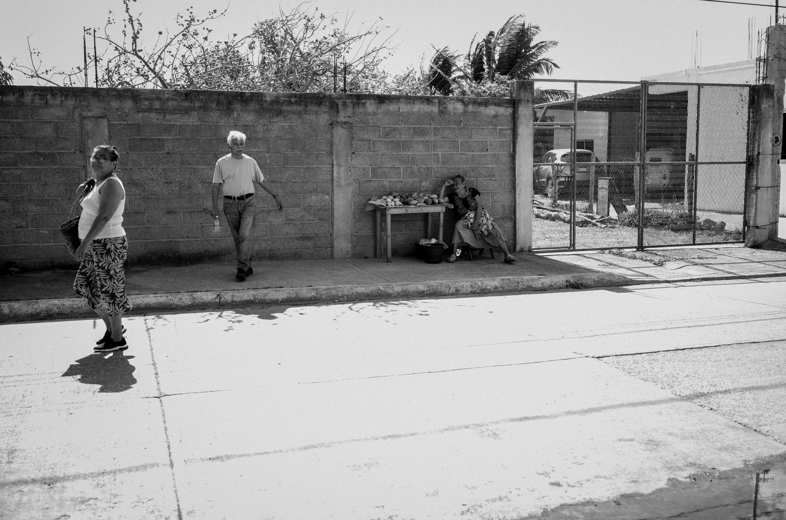 L1001970.jpg
