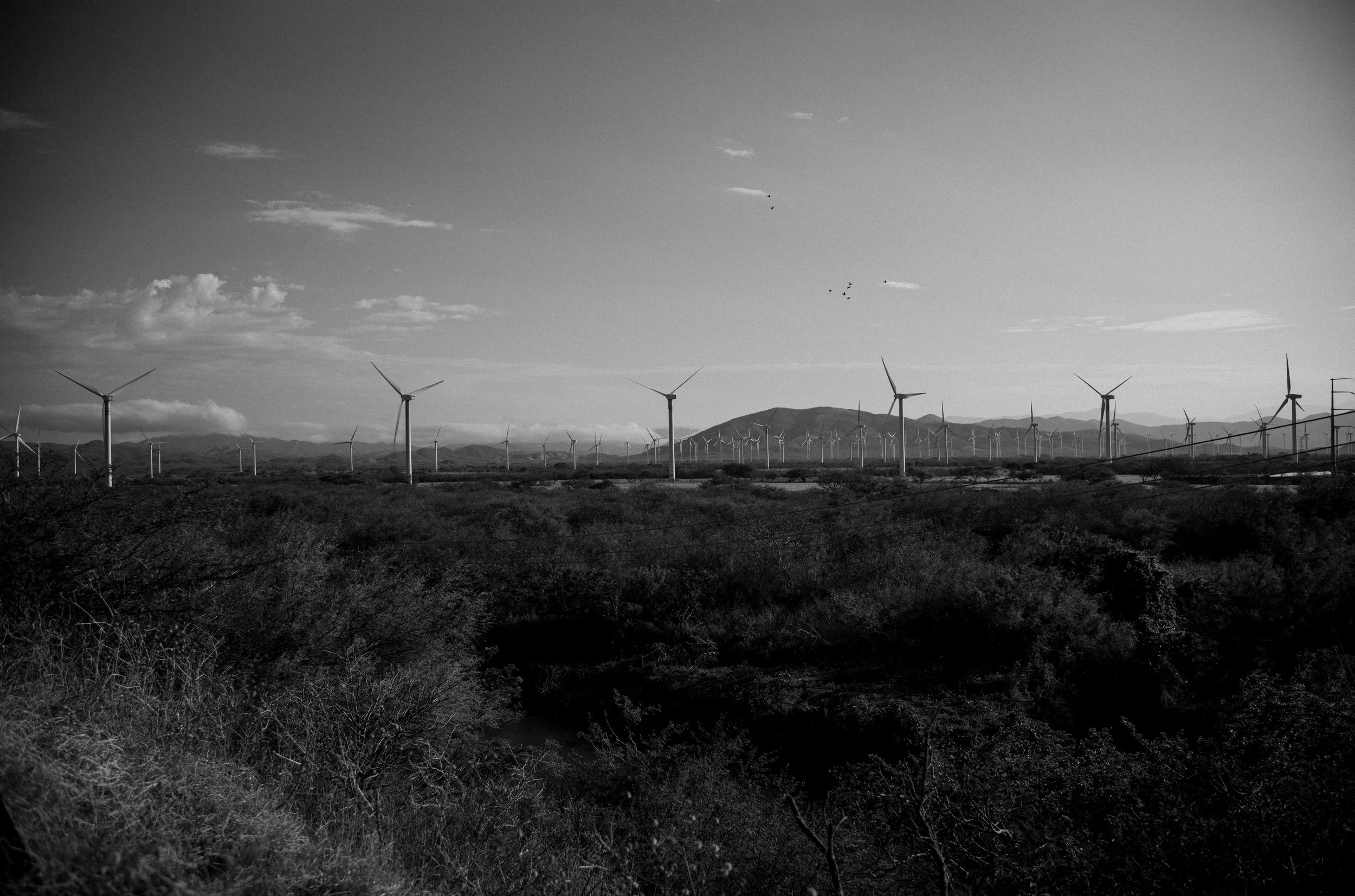 L1001948.jpg