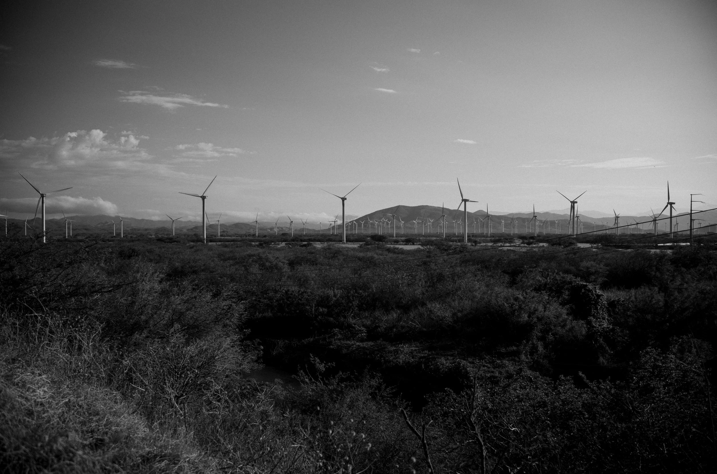 L1001946.jpg