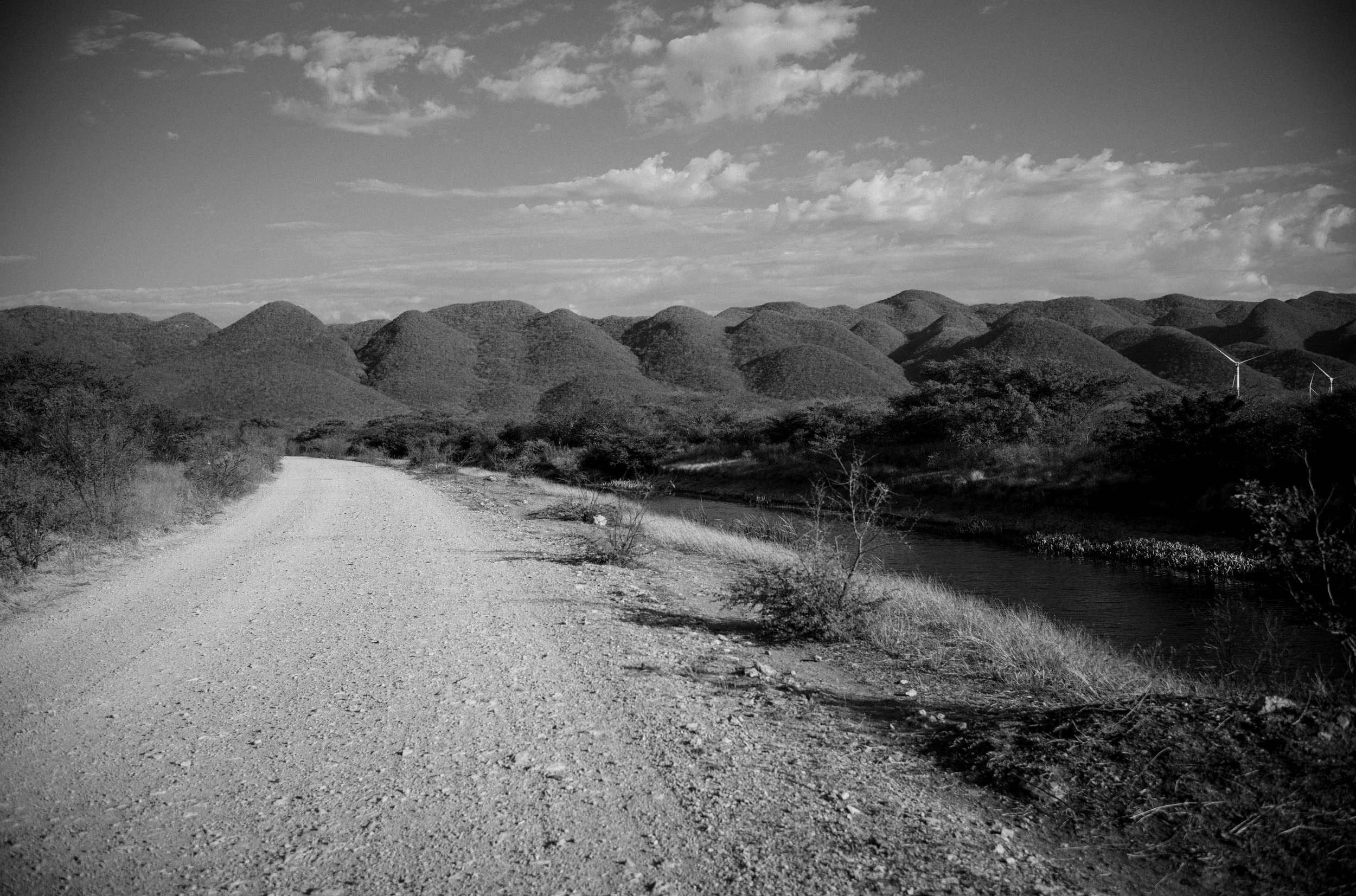 L1001942.jpg