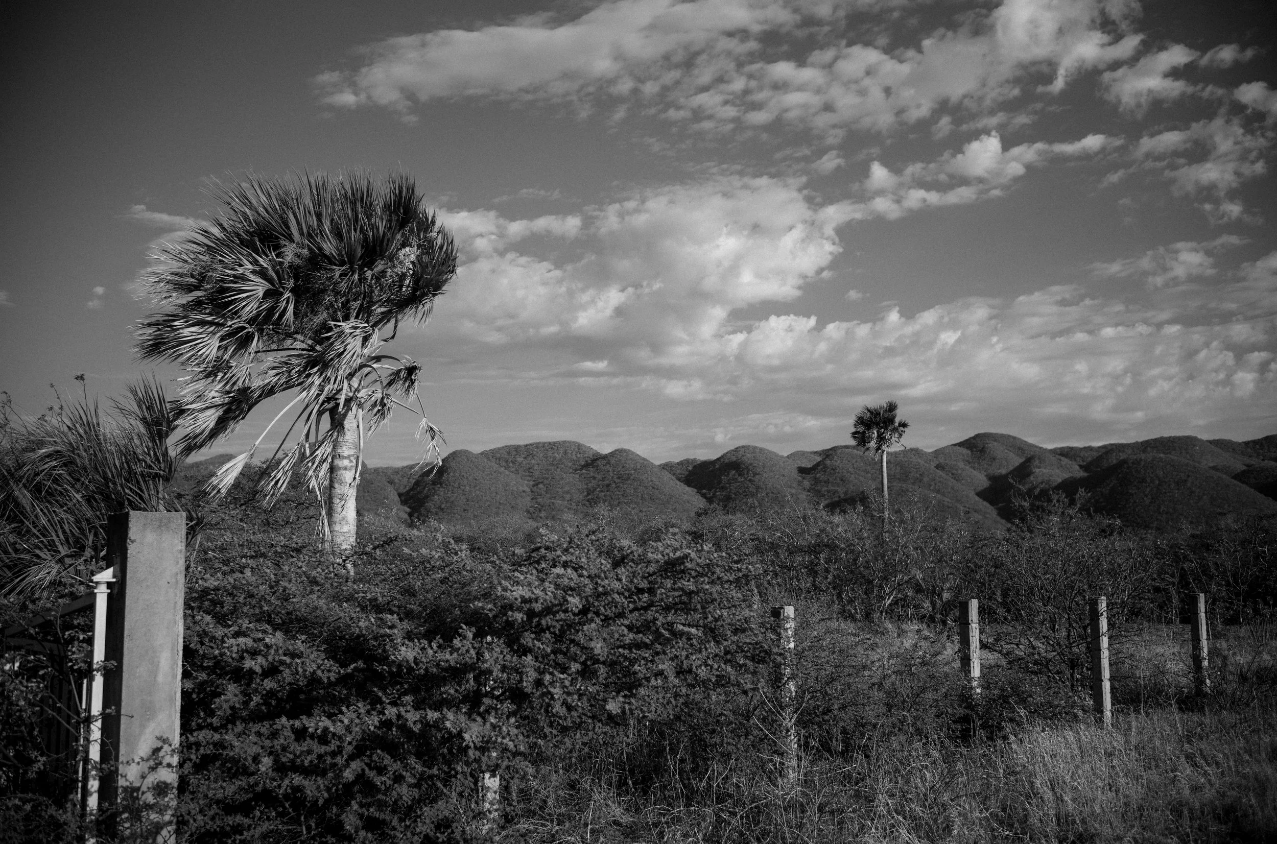 L1001941.jpg