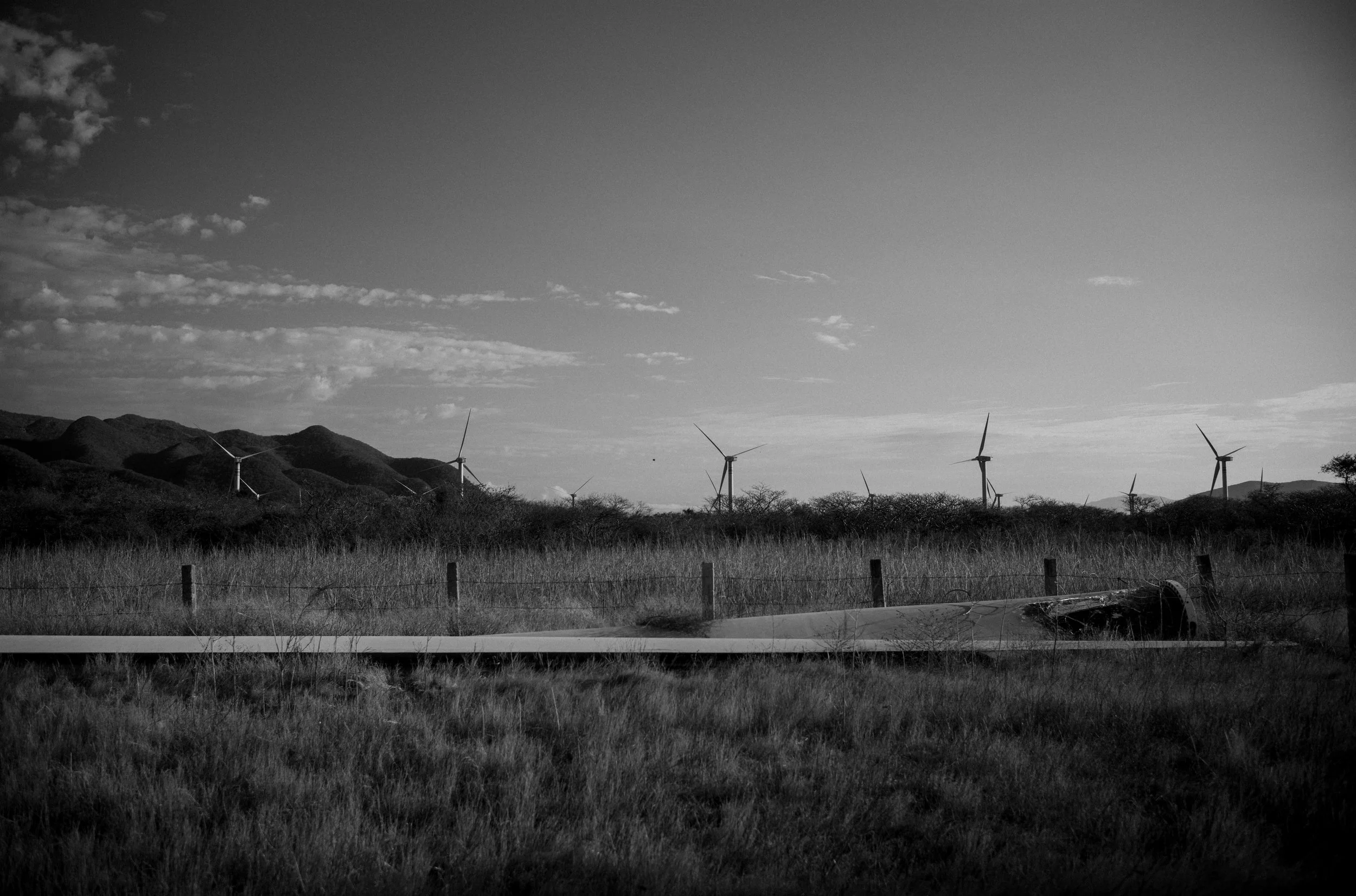 L1001940.jpg