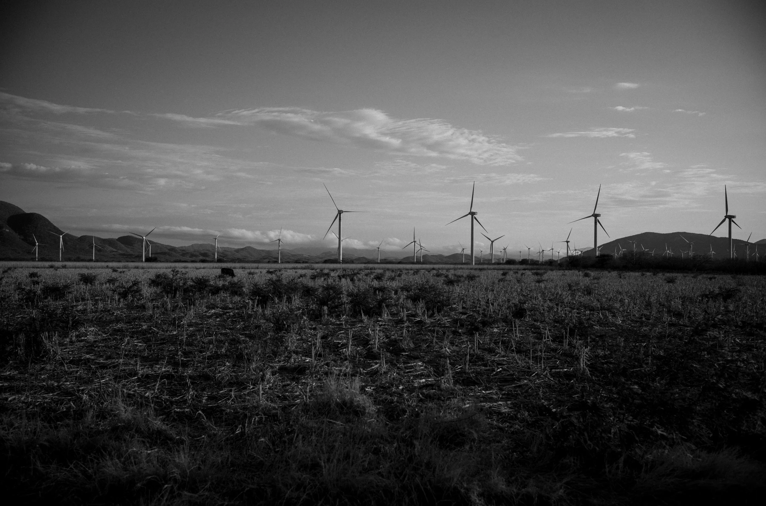 L1001936.jpg