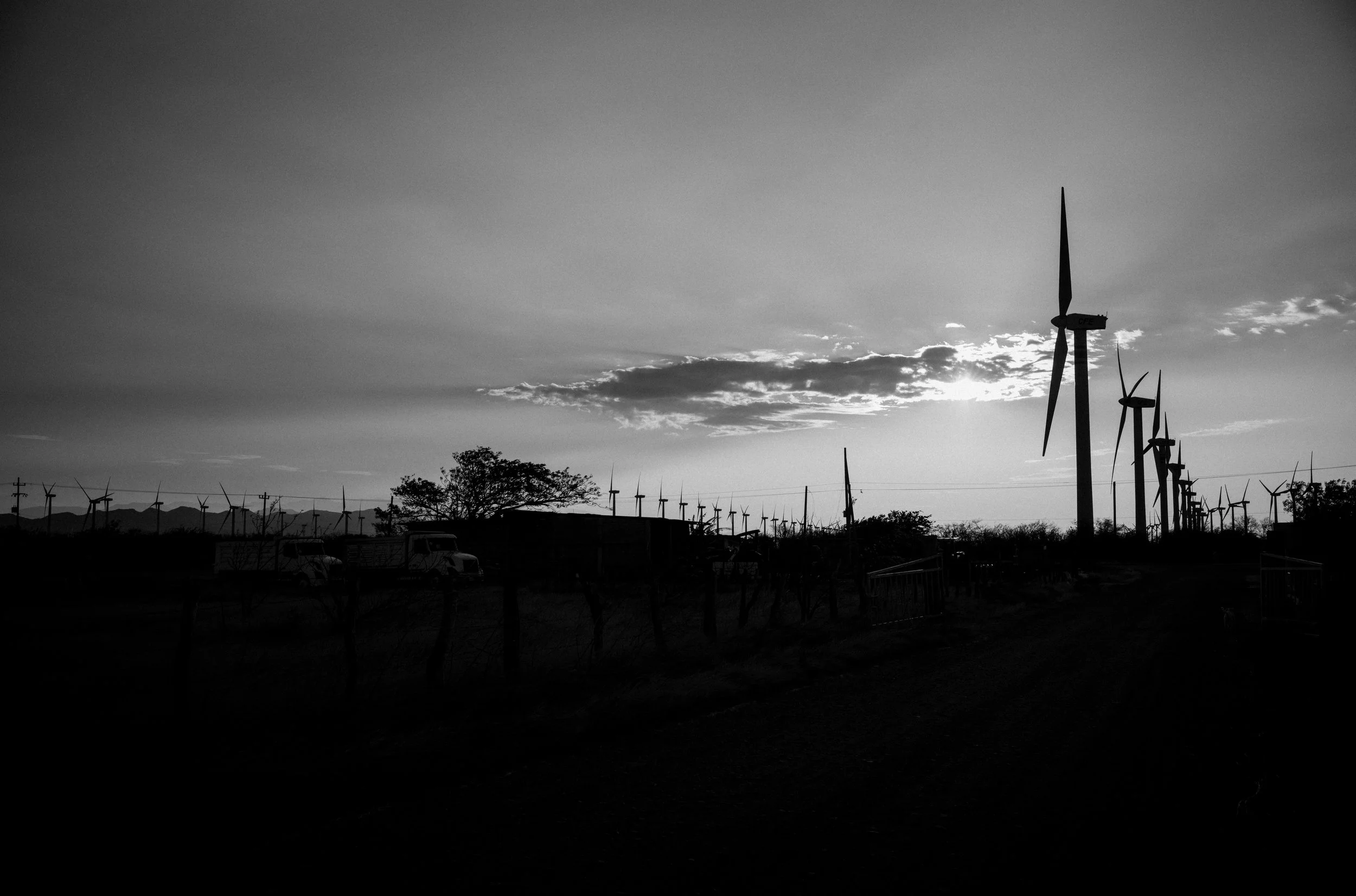 L1001933.jpg