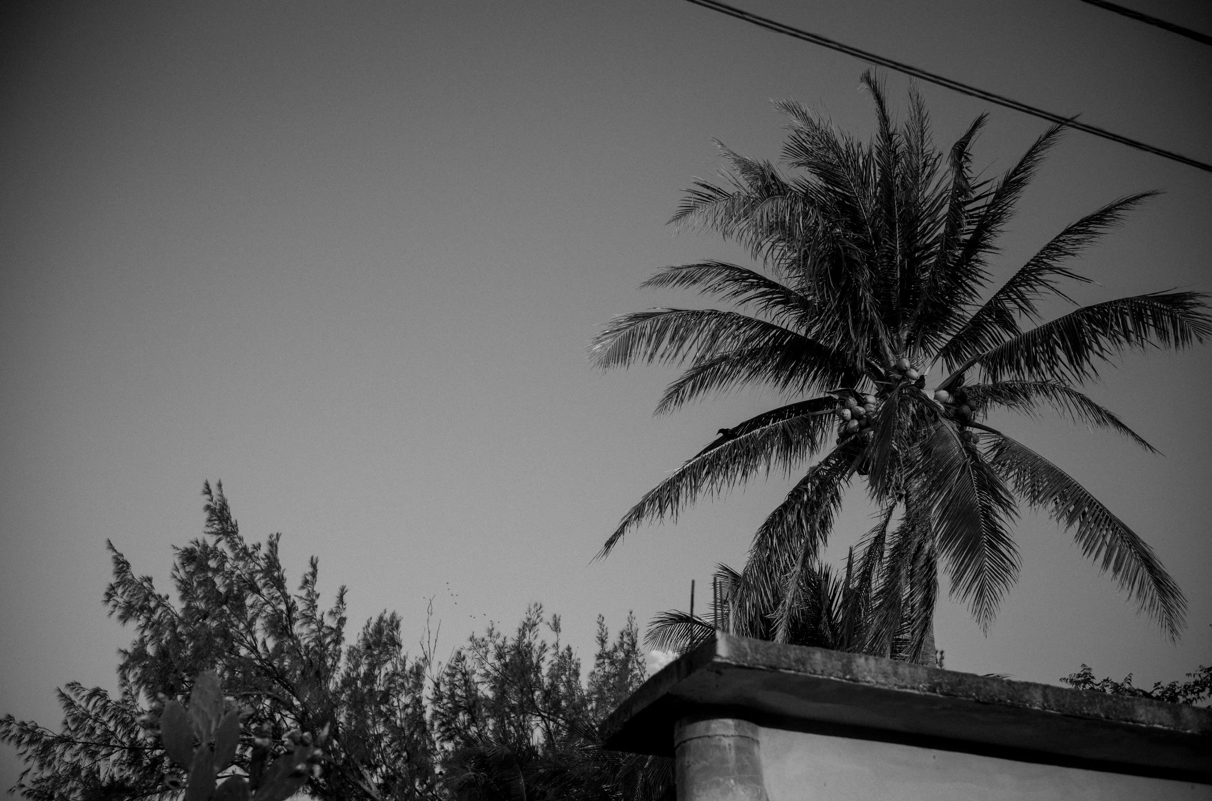 L1001931.jpg