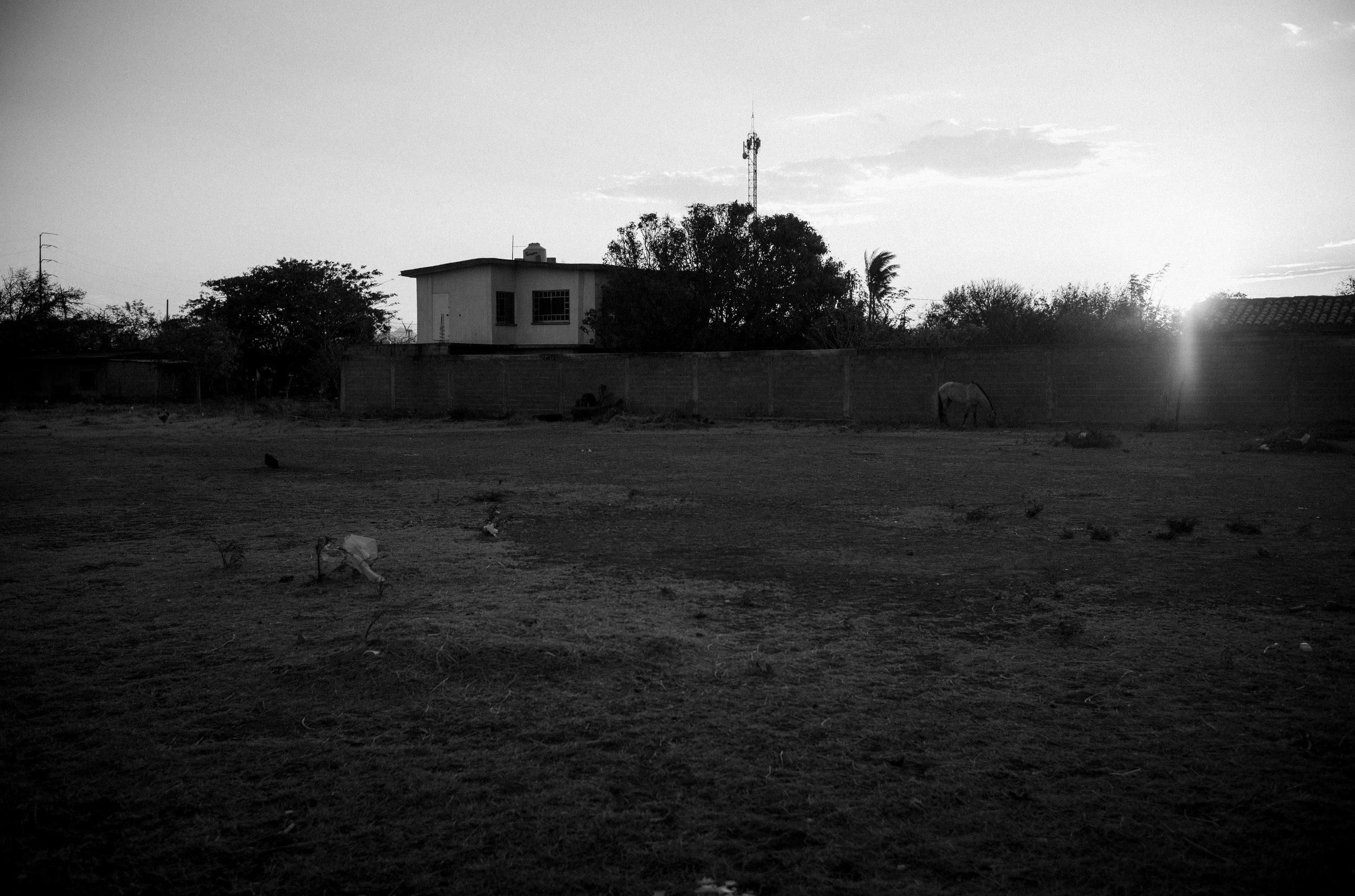 L1001930.jpg
