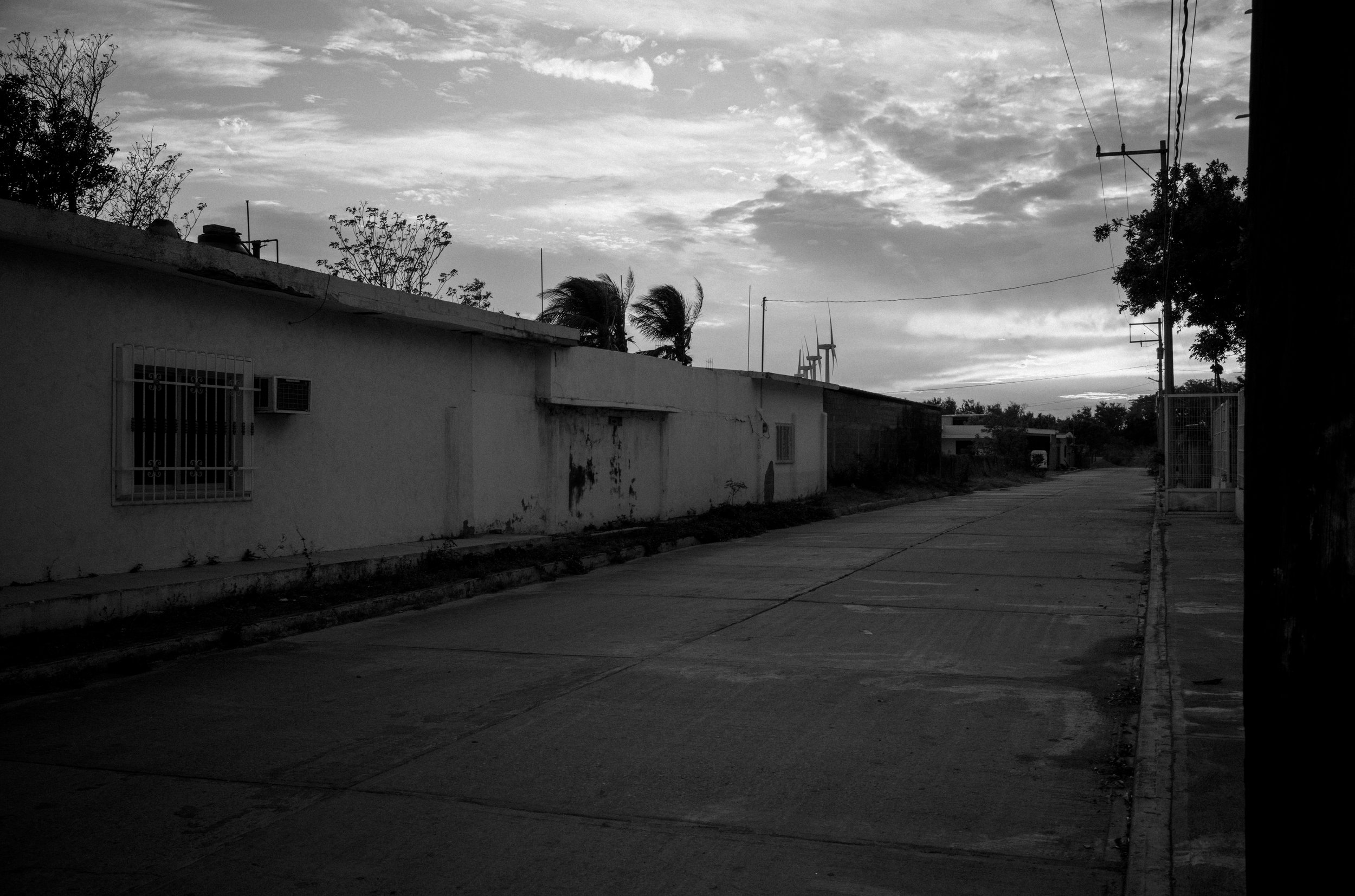 L1001922.jpg