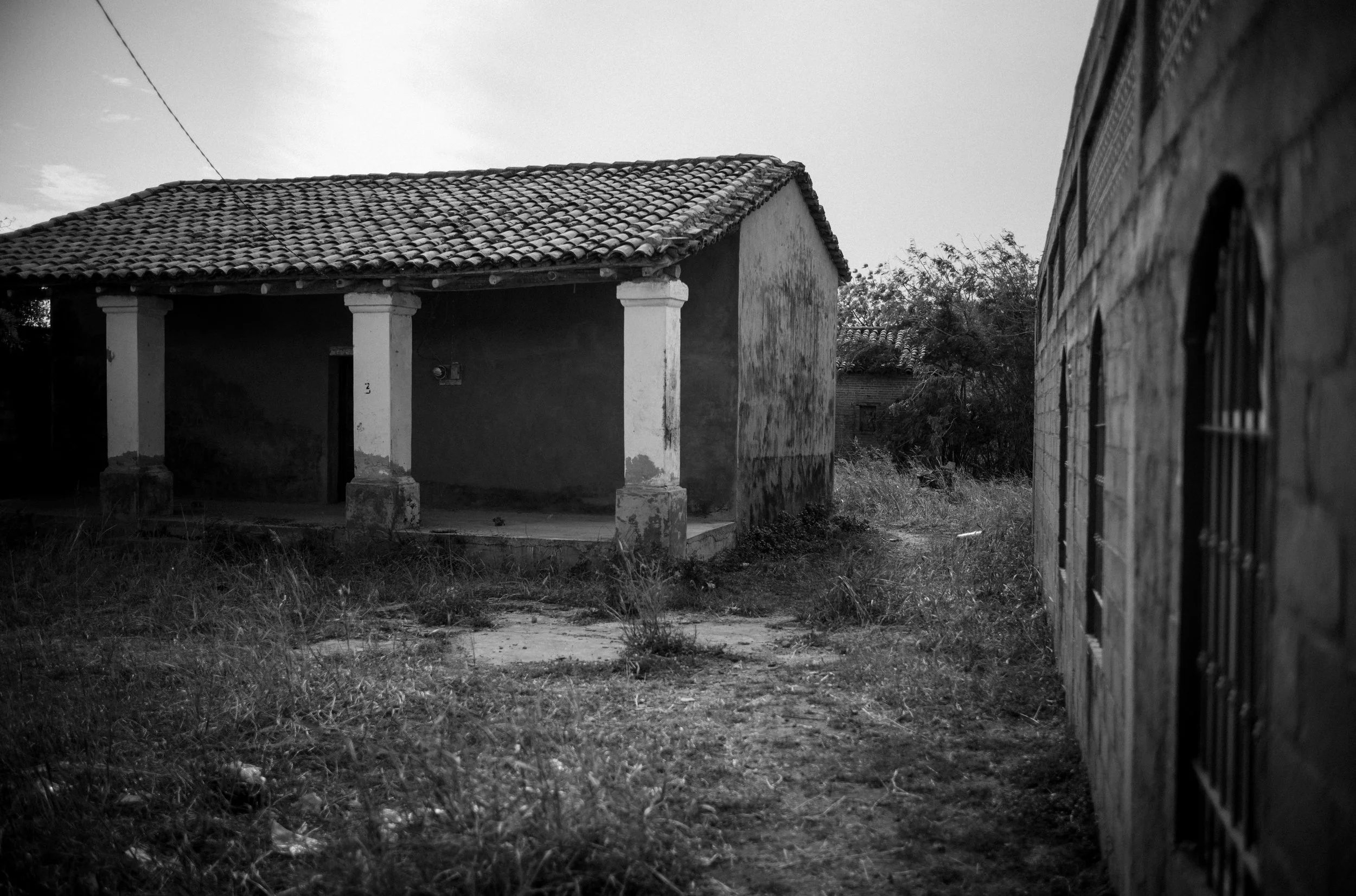 L1001895.jpg