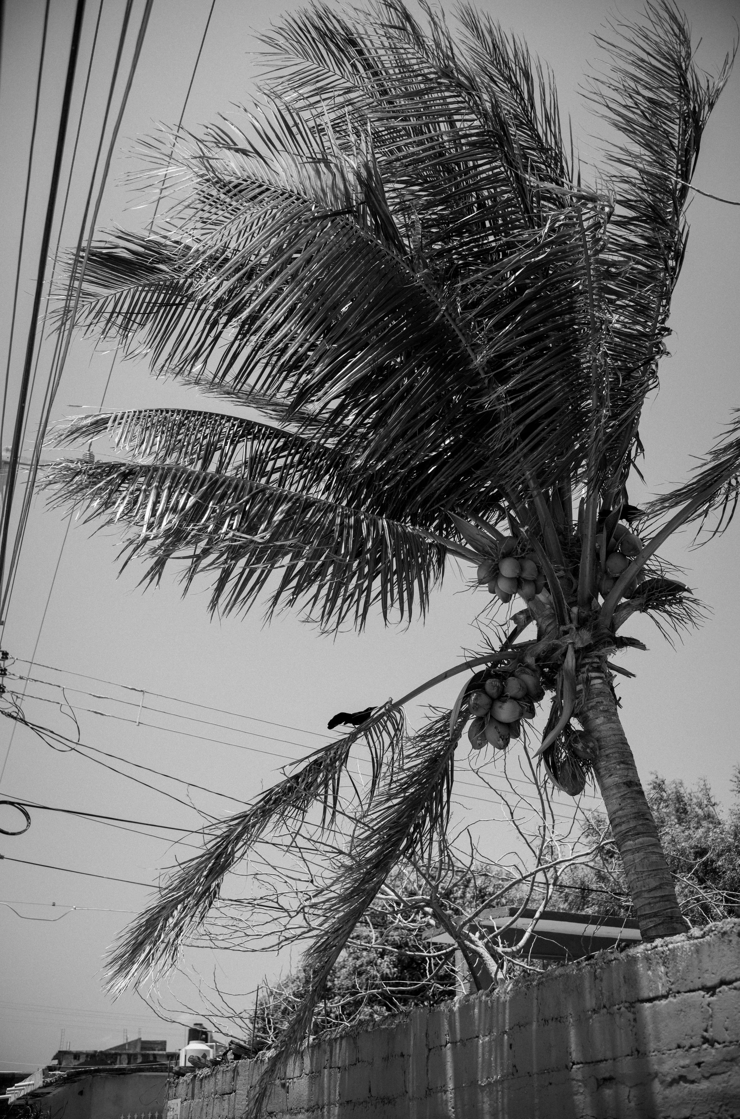 L1001891.jpg