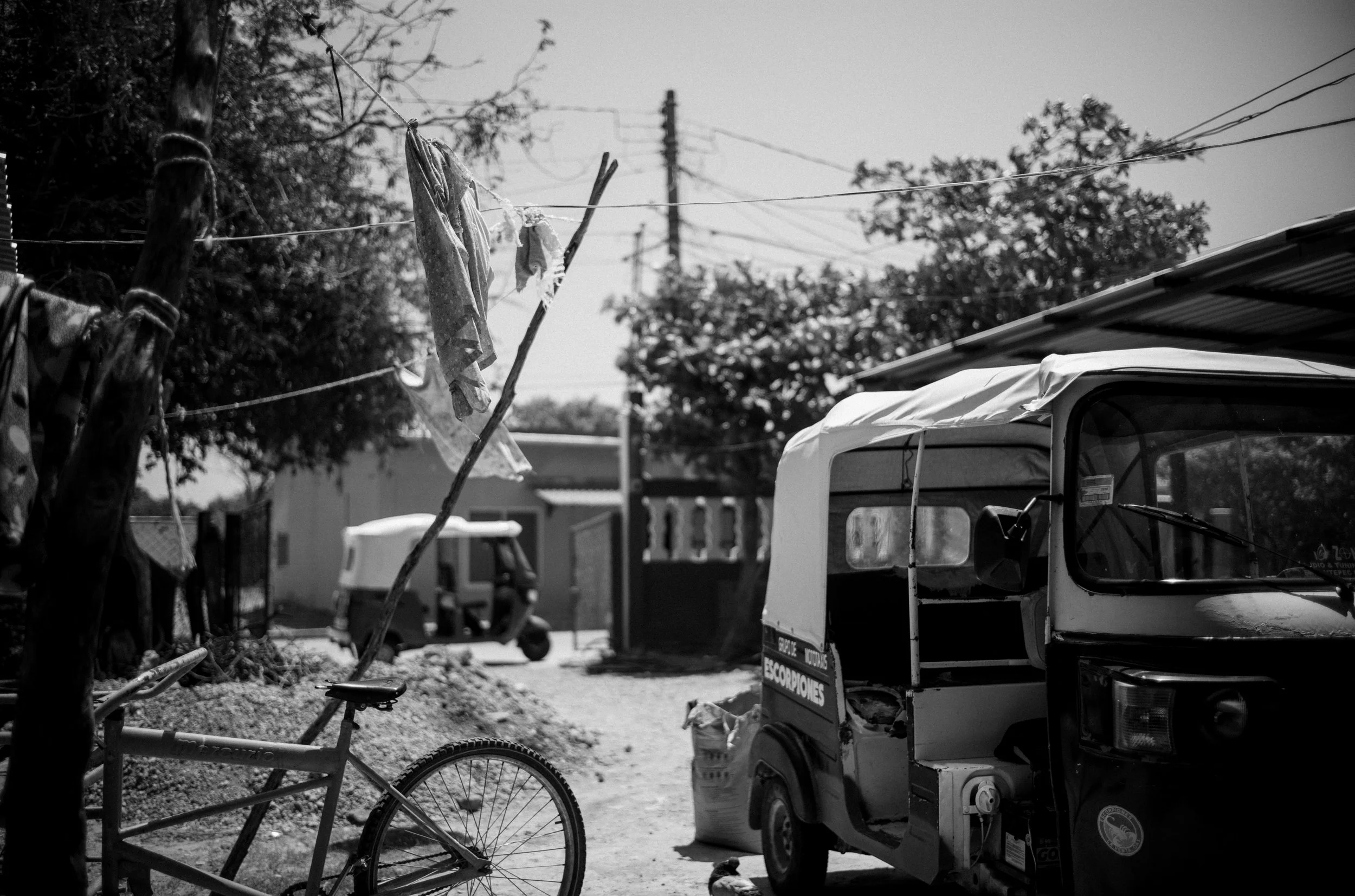 L1001886.jpg